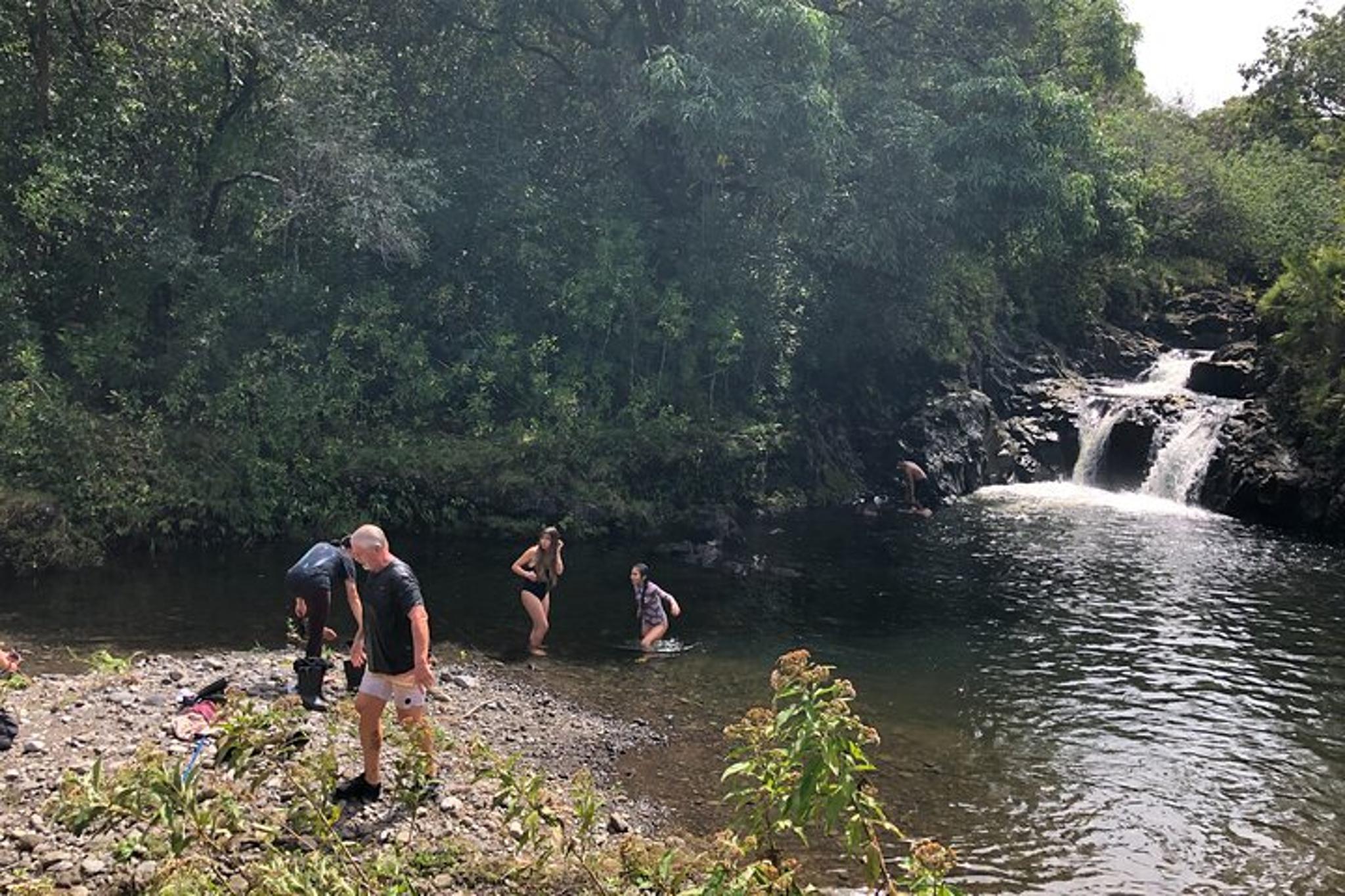 Maui Road to Hana and Waterfall Hike - Image 4