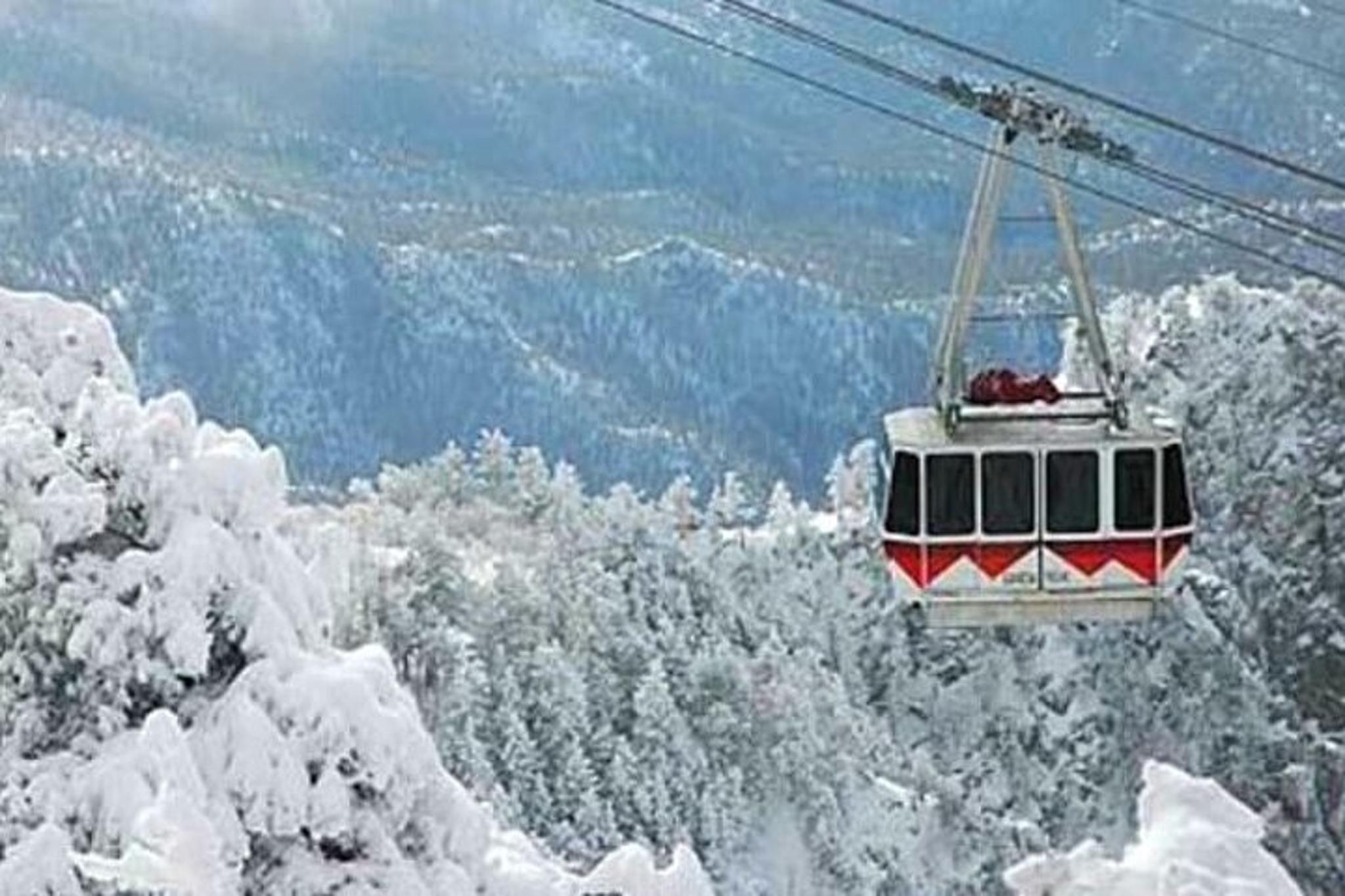 Albuquerque Snowshoe Experience at Sandia Peak - Image 5