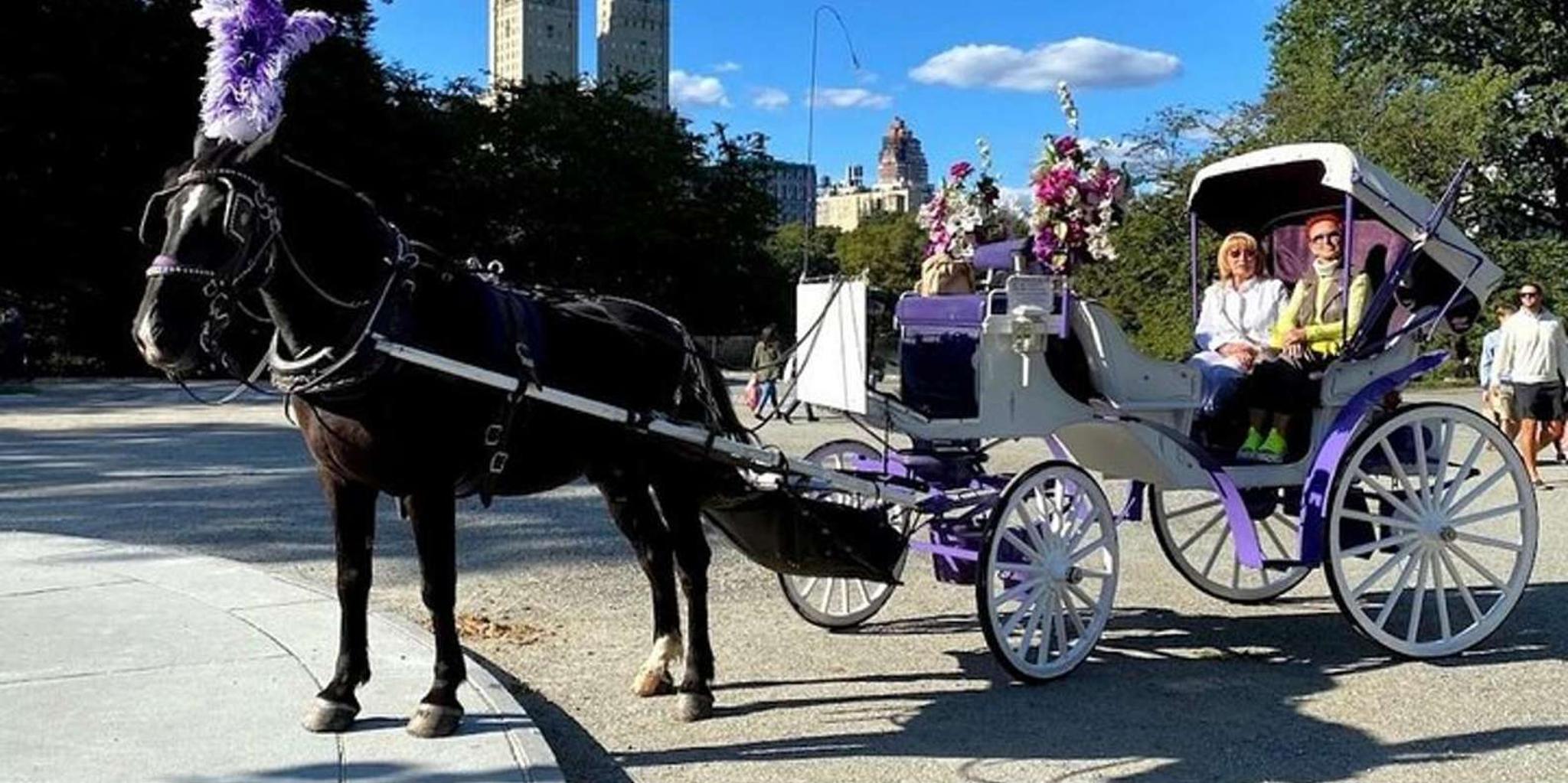 New York City Central Park Horse Carriage Ride - Image 4