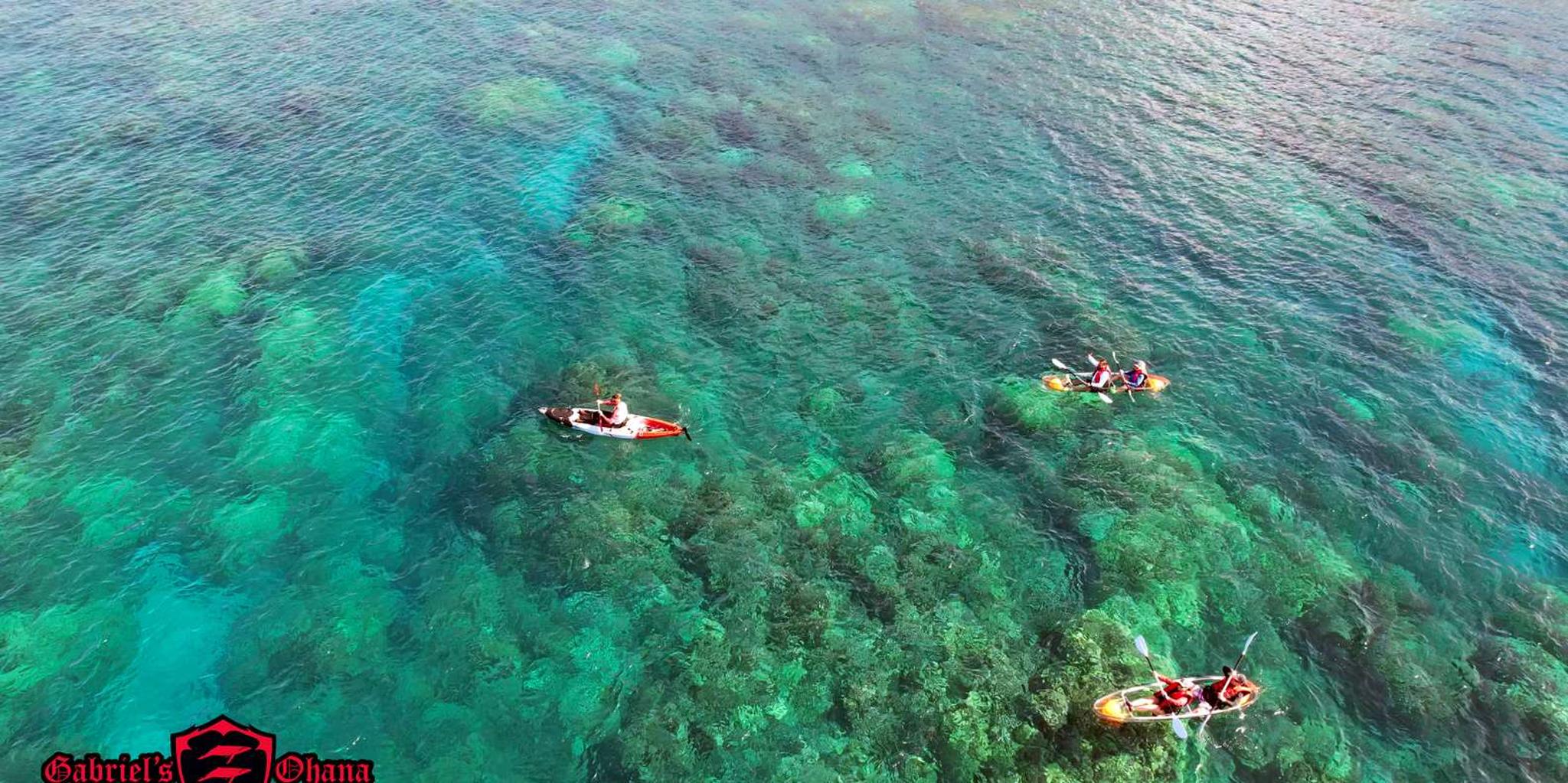 Olowalu Guided Clear Kayak Tour - Image 6