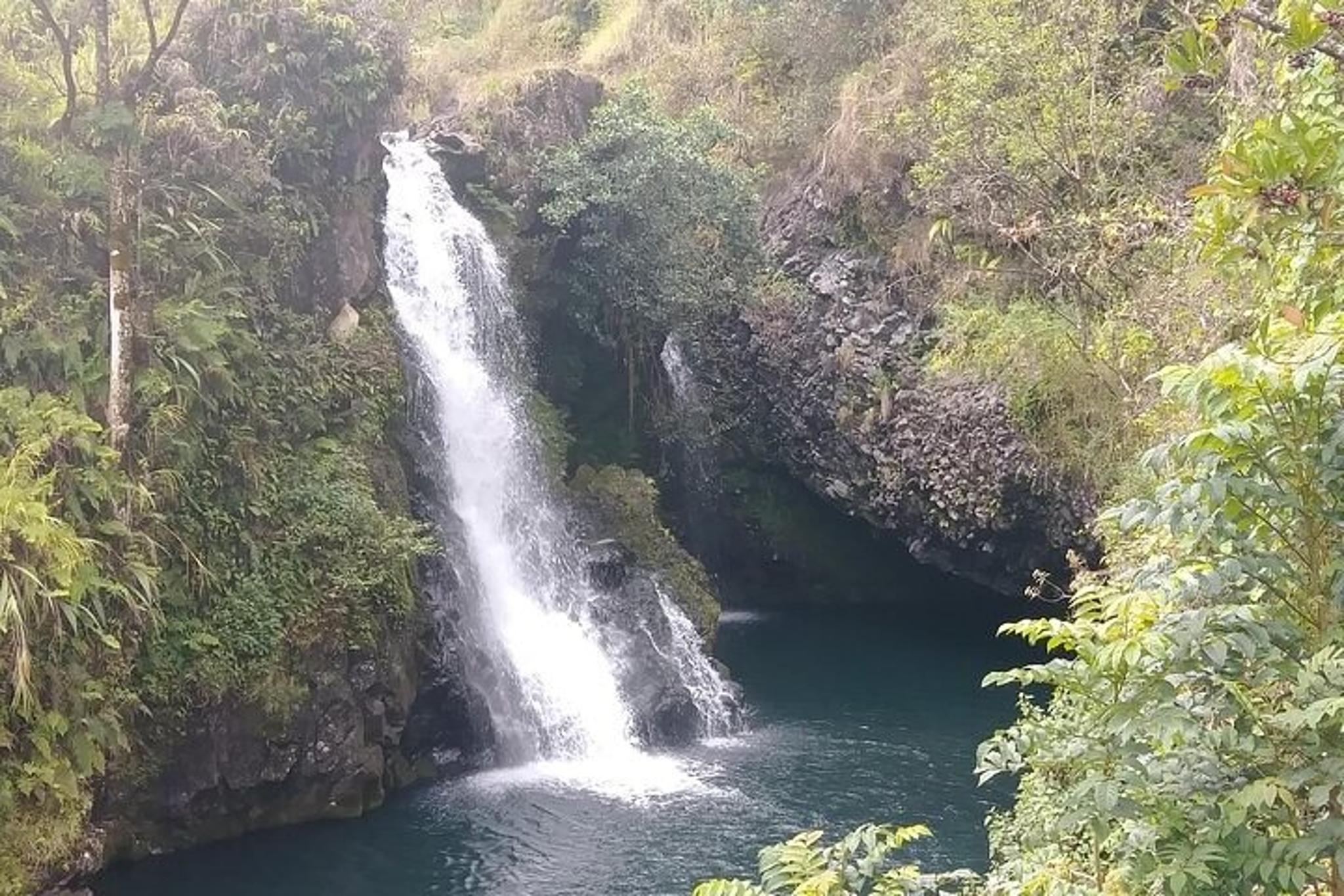 Maui Waterfall Hiking Tour in Private Jeep - Image 5