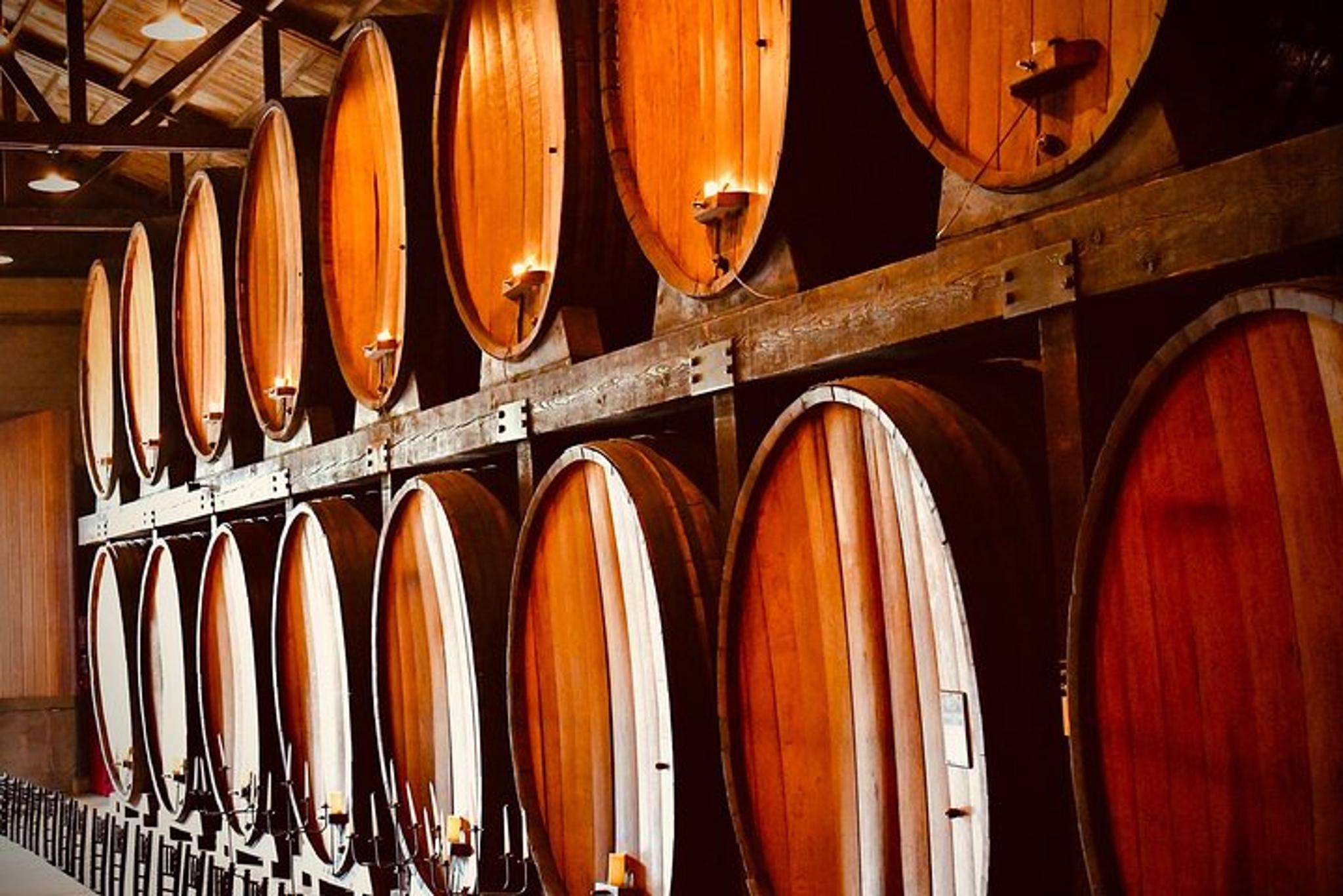 Long Island Wine Tour Experience - Image 5