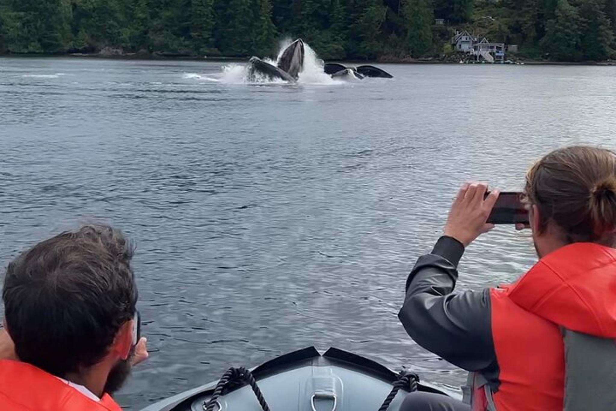 Ketchikan Zodiac Boat Adventure - Image 5