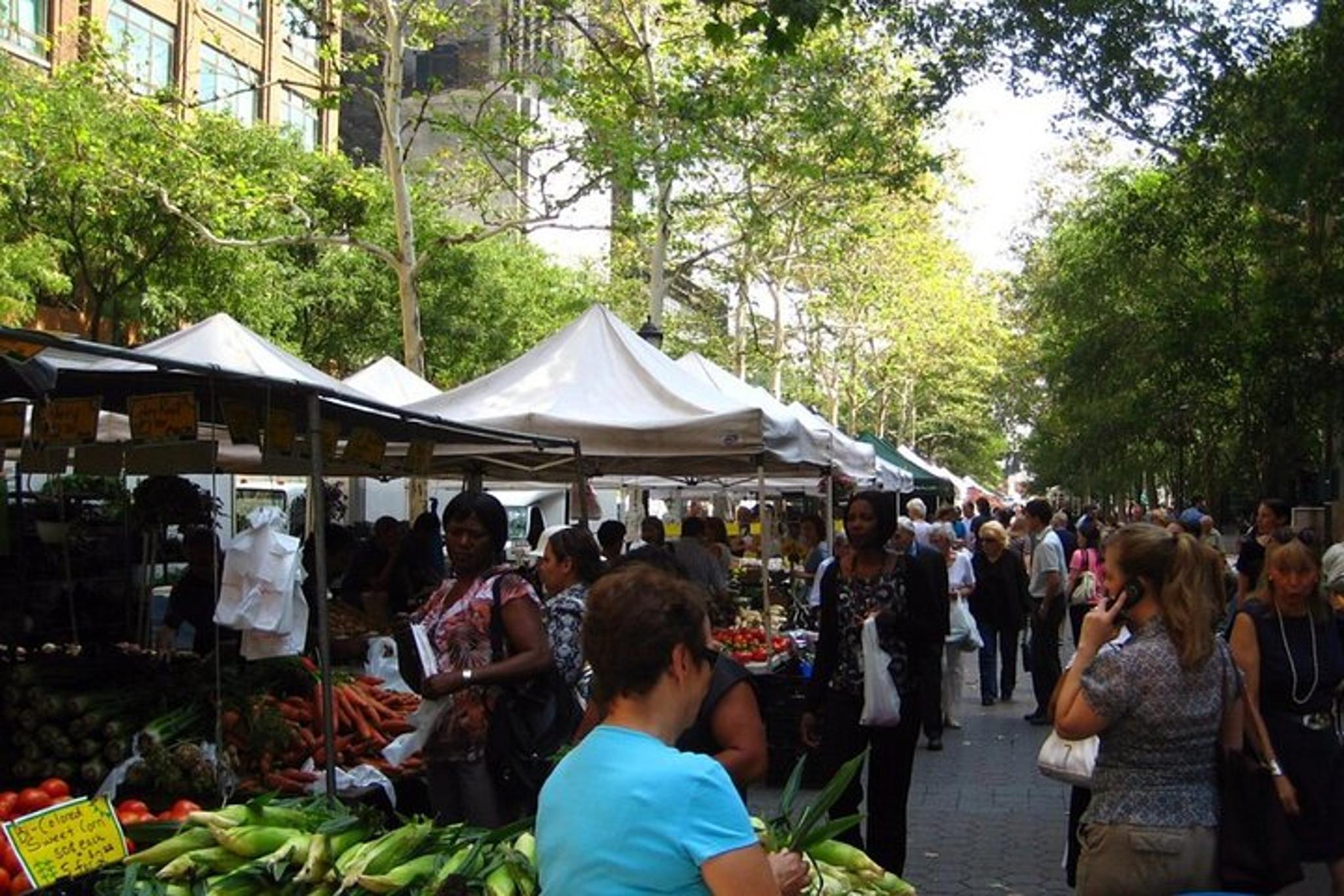 New York City Presidents' Life Private Tour - Image 3