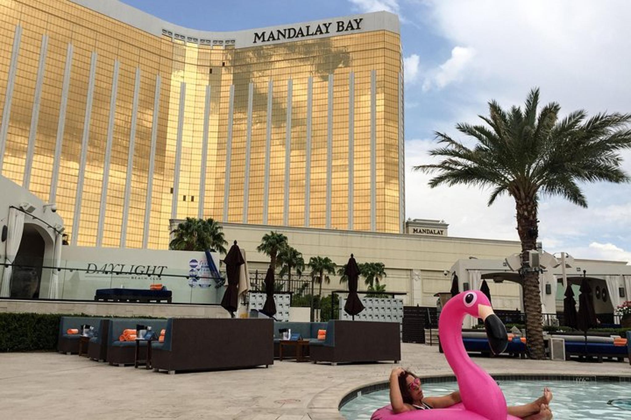 Las Vegas Pool Party Tour - Image 6