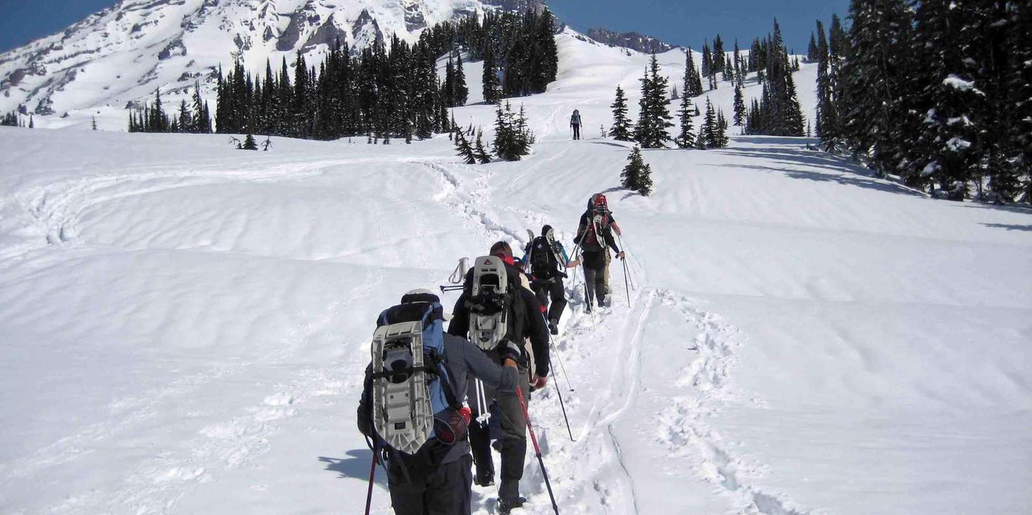 Seattle Mount Rainier National Park Small-Group Tour - Image 5