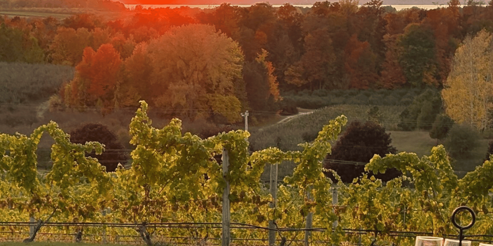 Traverse City Wine Tour at Sunset 4 hr - Image 6