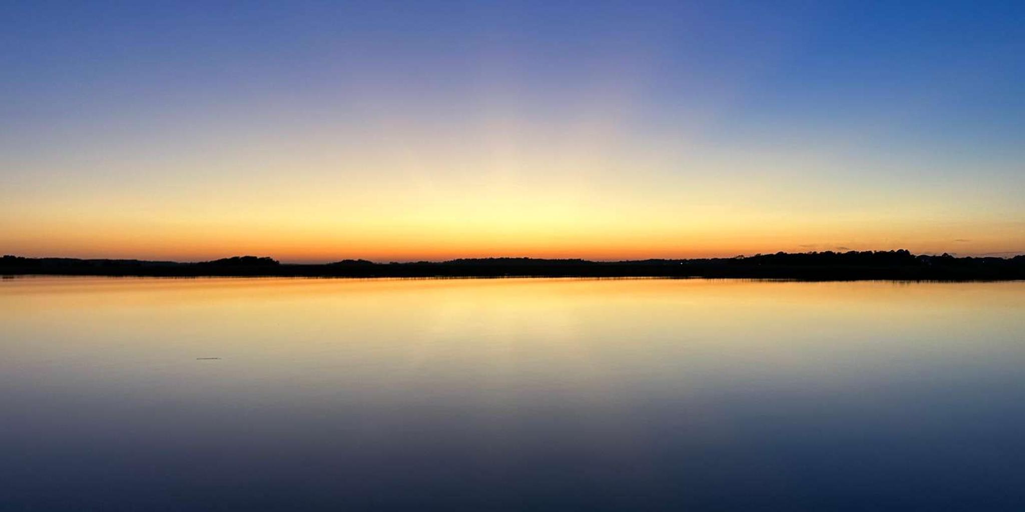 Charleston Dolphin Cruise BYOB 1.5 hr - Image 2