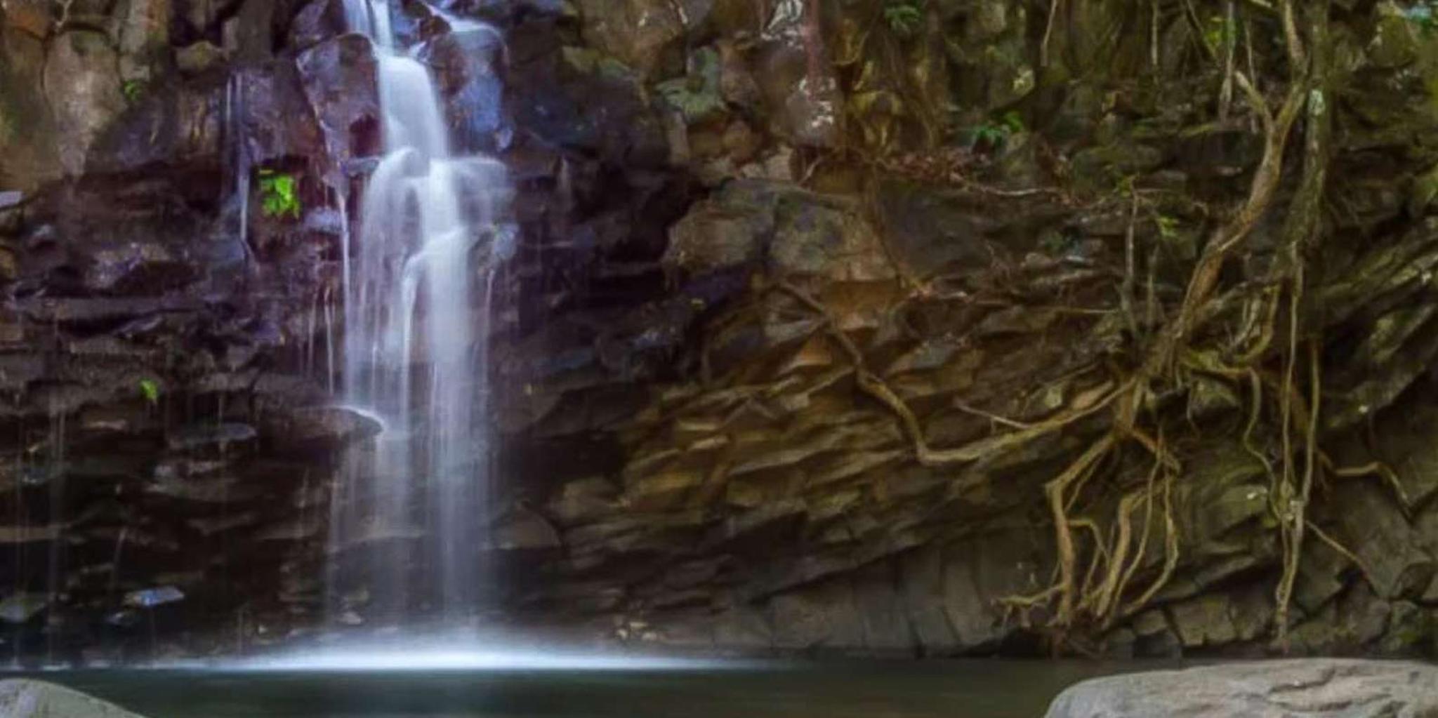 Maui Rainforest and Waterfall Walk & Swim - Image 5