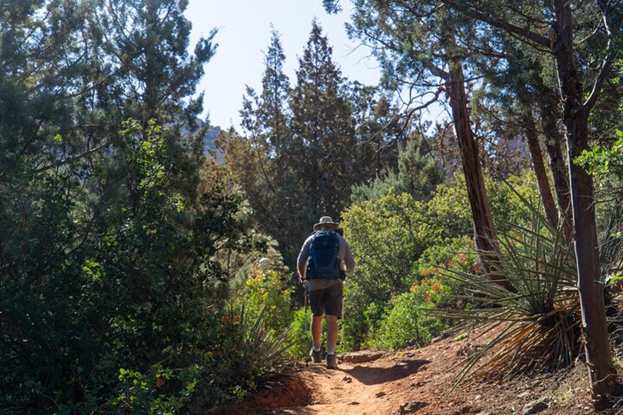 Sedona Hike and Sights Tour from Scottsdale - Image 3