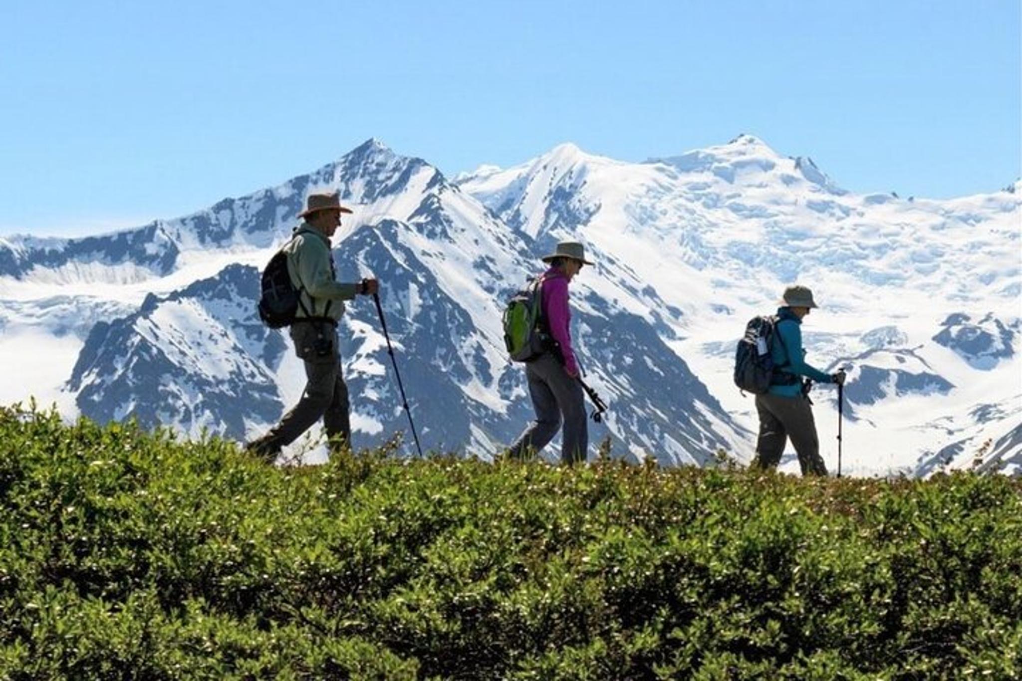 Seward Heli Hiking Adventure 4 hr - Image 2