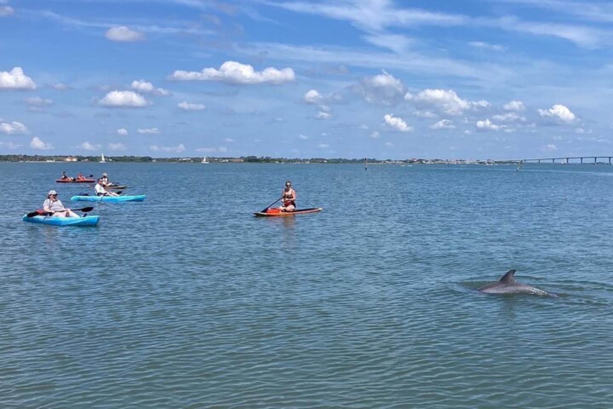 Daytona Kayak Rental