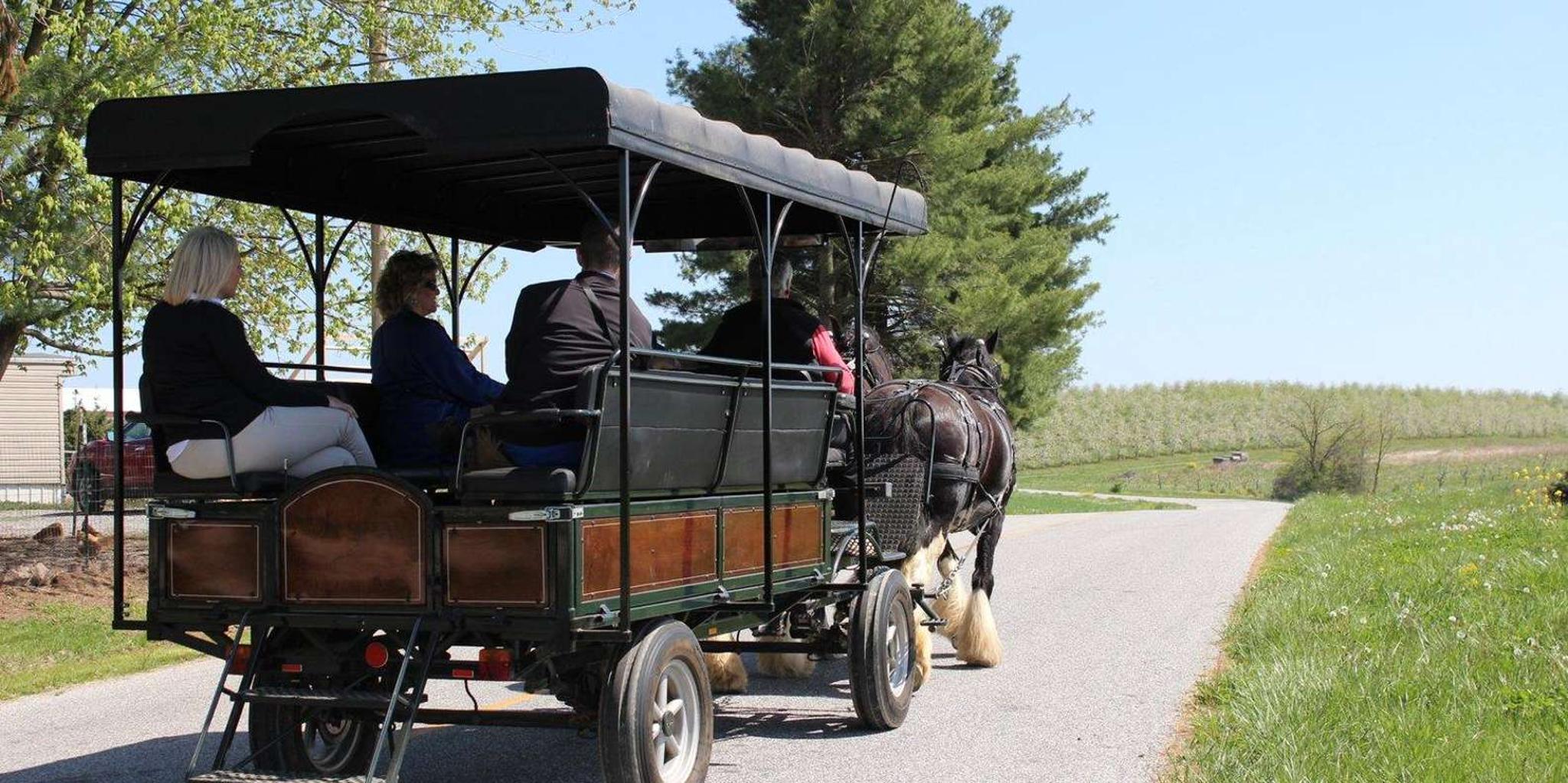 Gettysburg Horse-Drawn Carriage Tour Countryside - Image 6