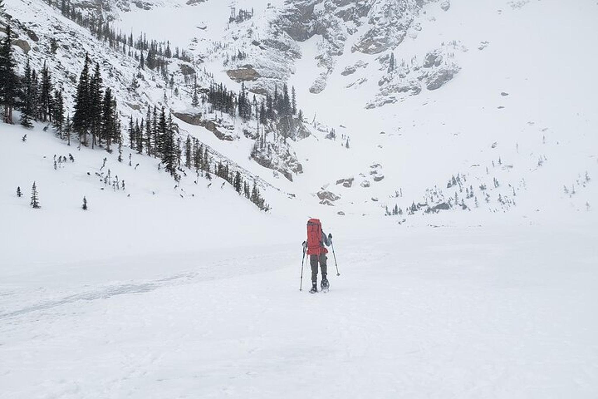 Rocky Mountain National Park Women's Snowshoeing Tour - Image 4