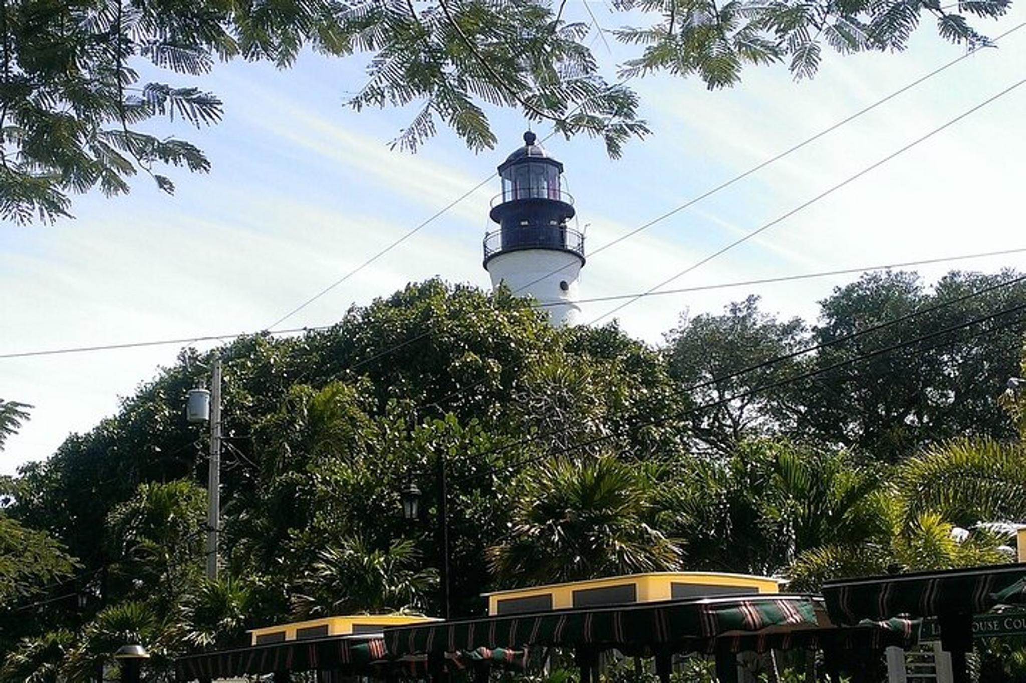 Key West Dolphin Watch and Snorkel with Hop-On Hop-Off - Image 2