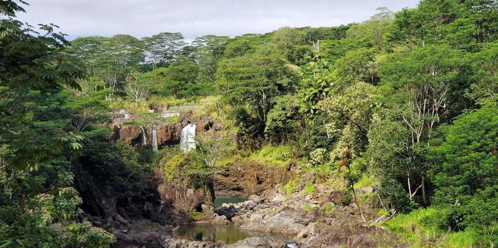 Hilo Waterfalls and Volcanoes Guided Tour - Image 6