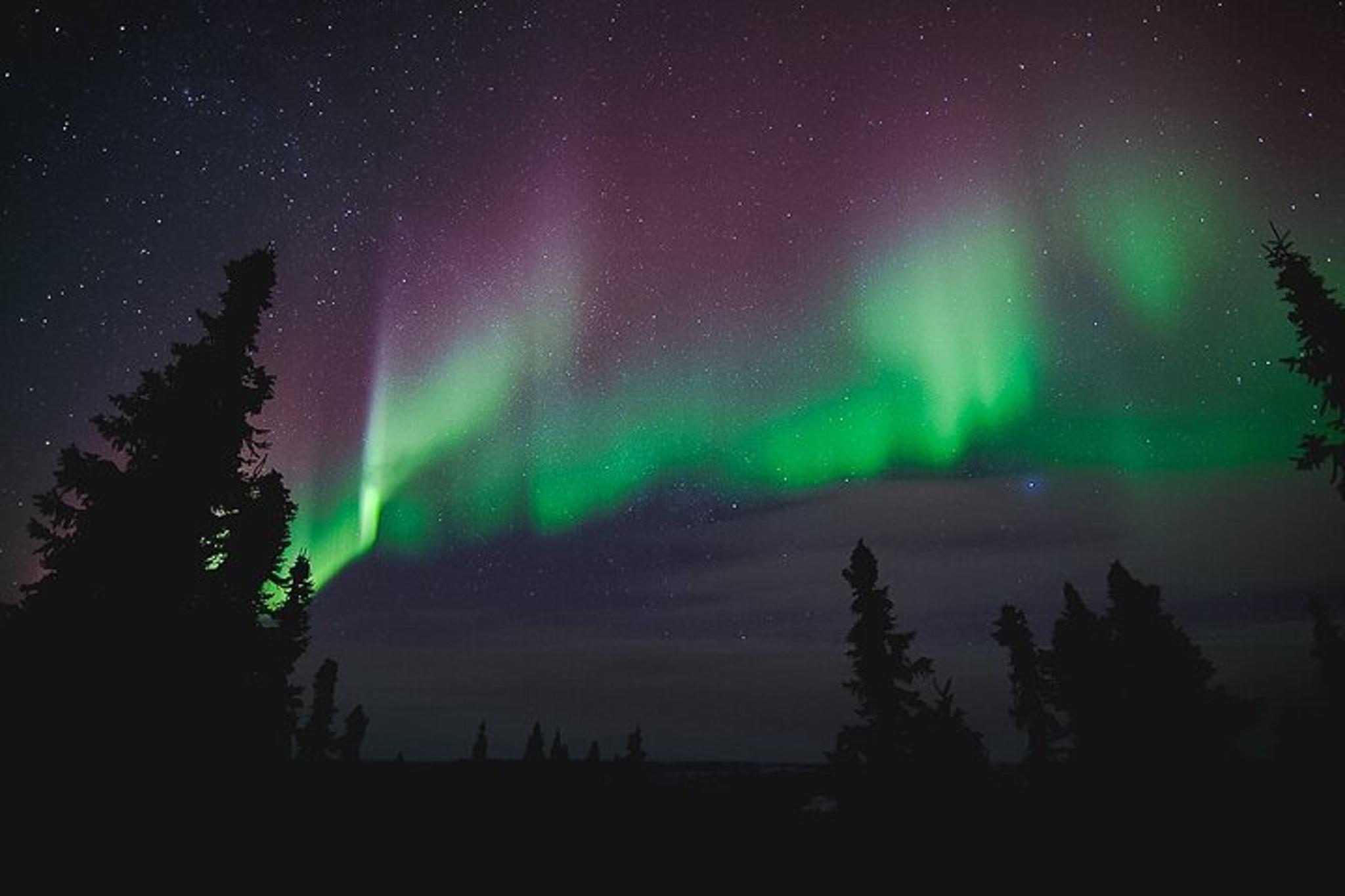 Fairbanks Northern Lights Viewing at Murphy Dome - Image 6