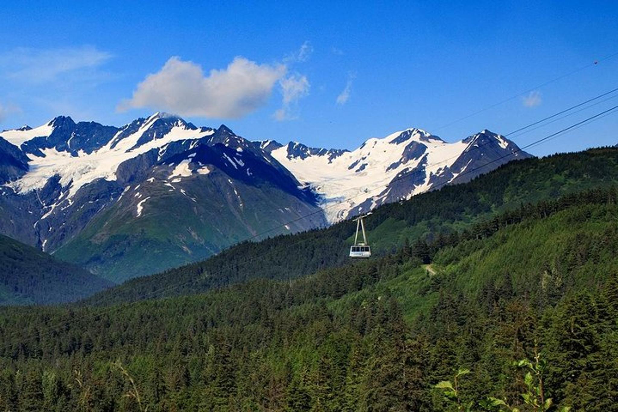 Anchorage Wildlife and Alyeska Tram Tour - Image 5