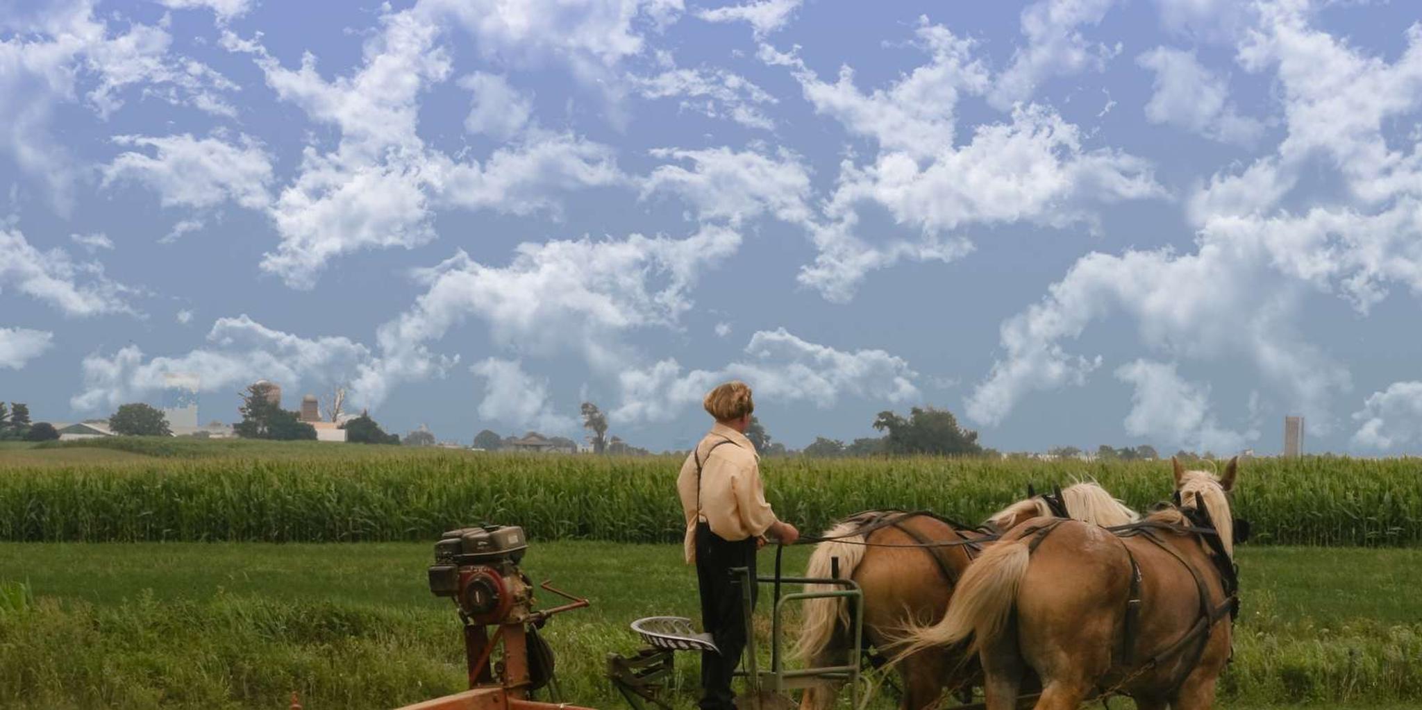 Lancaster Amish Country Farm and House Tour - Image 4