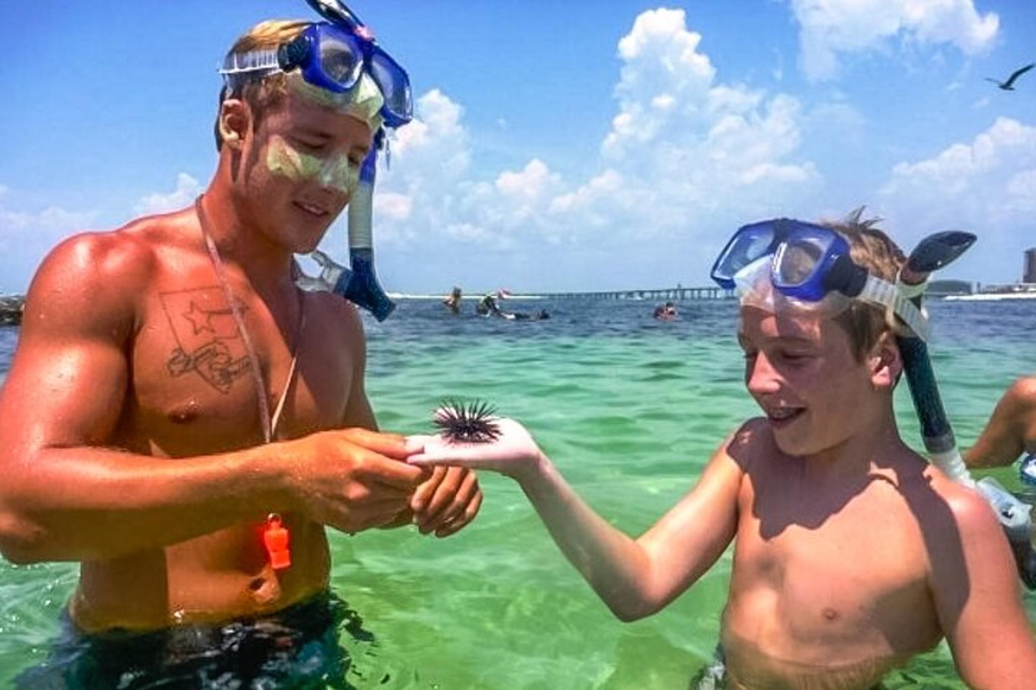 Destin Snorkeling and Shelling Excursion - Image 2