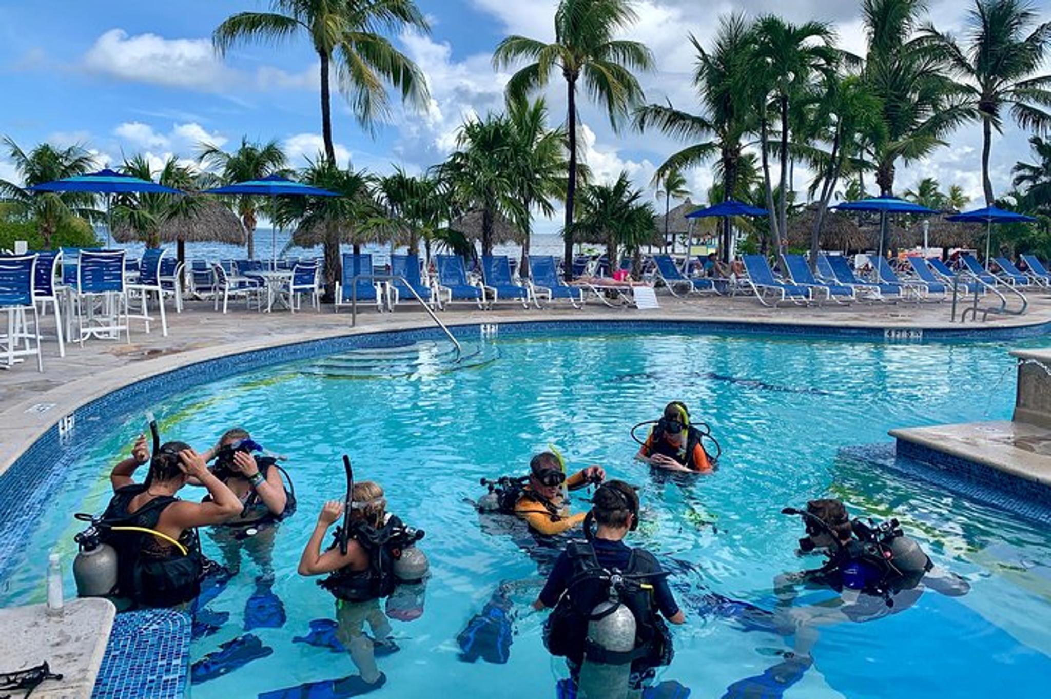 Key Largo Scuba Diving Adventure 3.5 hr - Image 4
