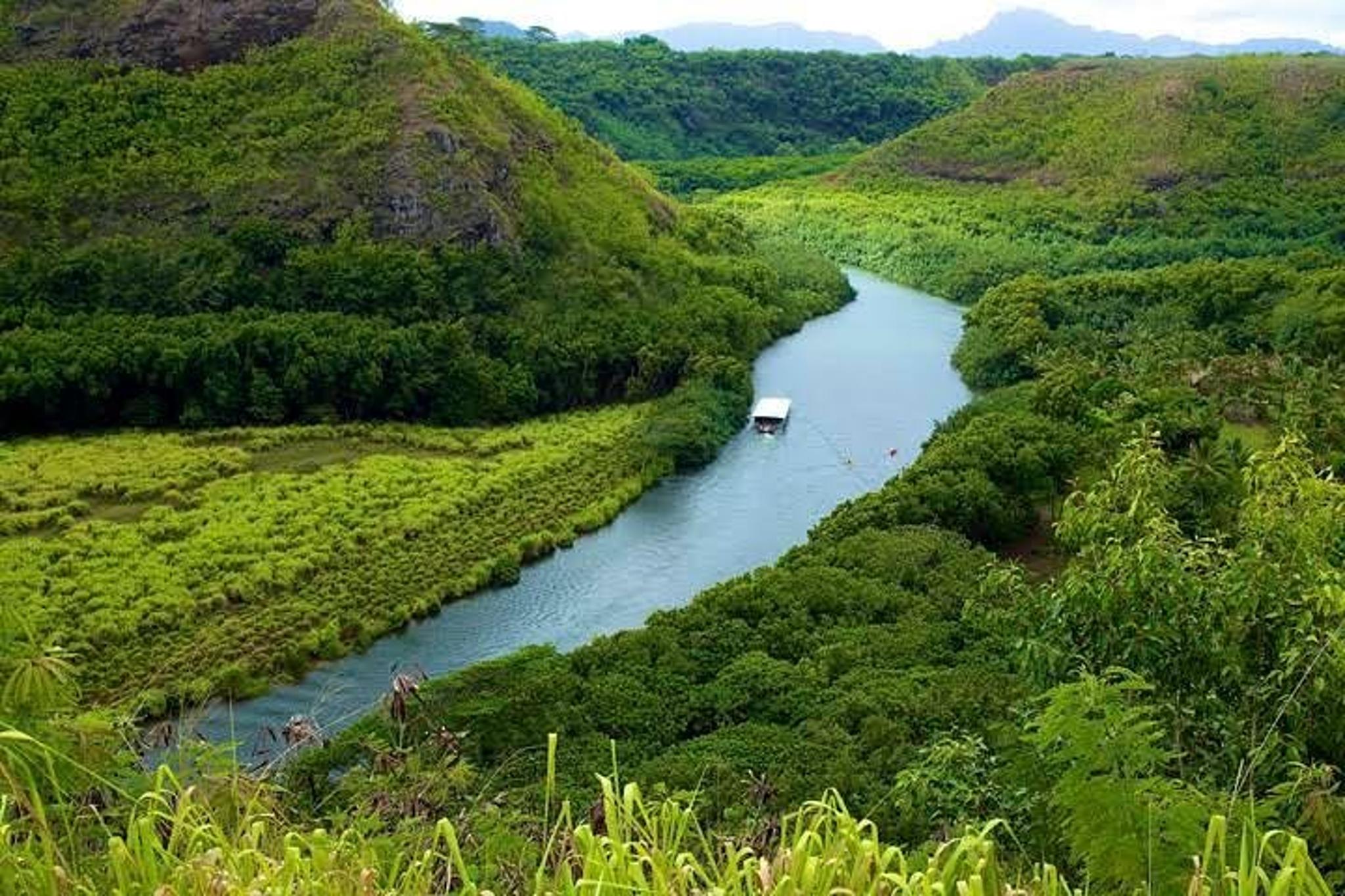 Kauai Fern Grotto River Cruise & Lighthouse Tour - Image 2