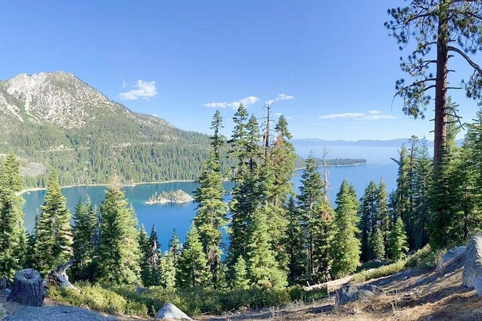 San Francisco Yellowstone and Las Vegas Tour 7 Days - Image 2