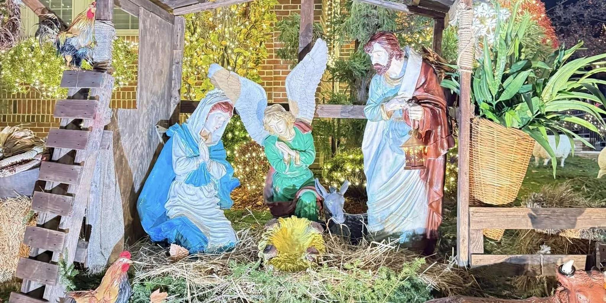 Brooklyn Dyker Heights Christmas Lights Tour - Image 2