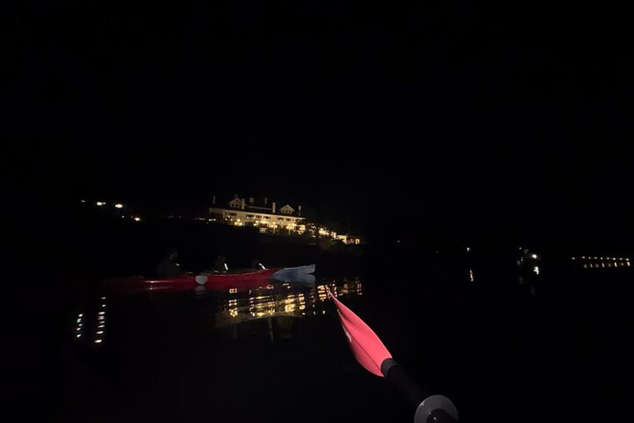 Orcas Island Bioluminescence Kayaking Tour 2 hr - Image 2