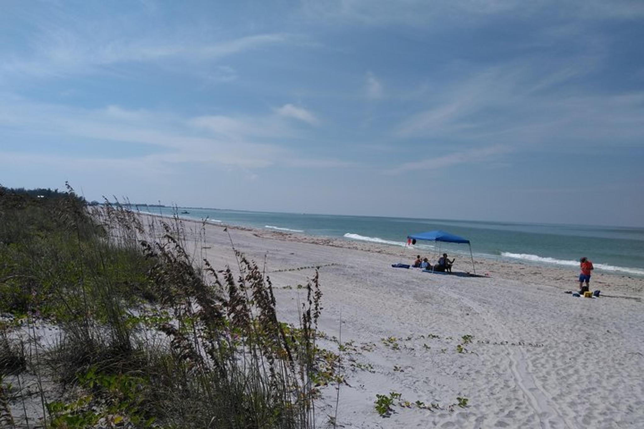 Cayo Costa Shelling and Lunch at Cabbage Key - Image 3