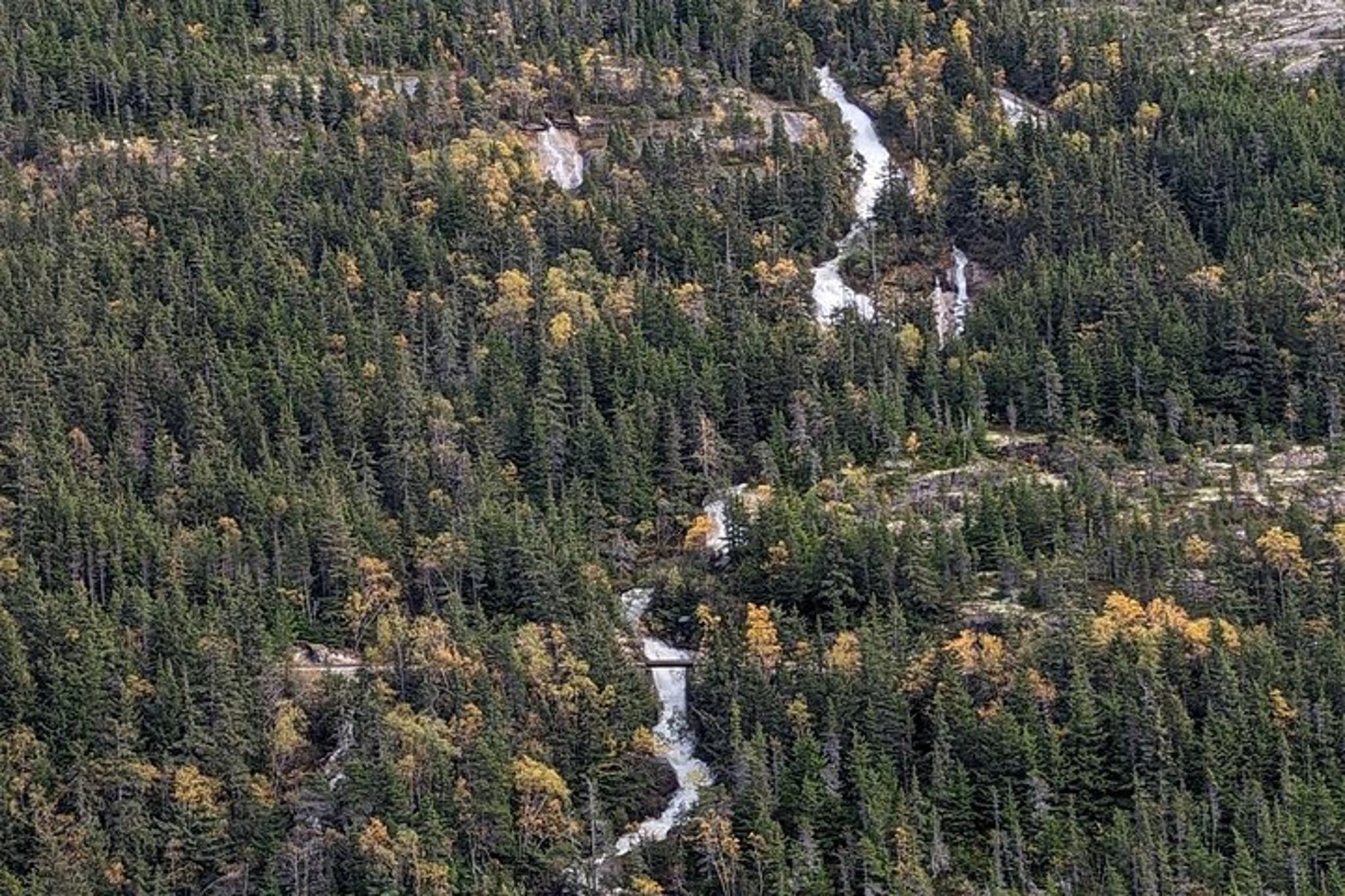 Skagway City & White Pass Summit Tour - Image 5