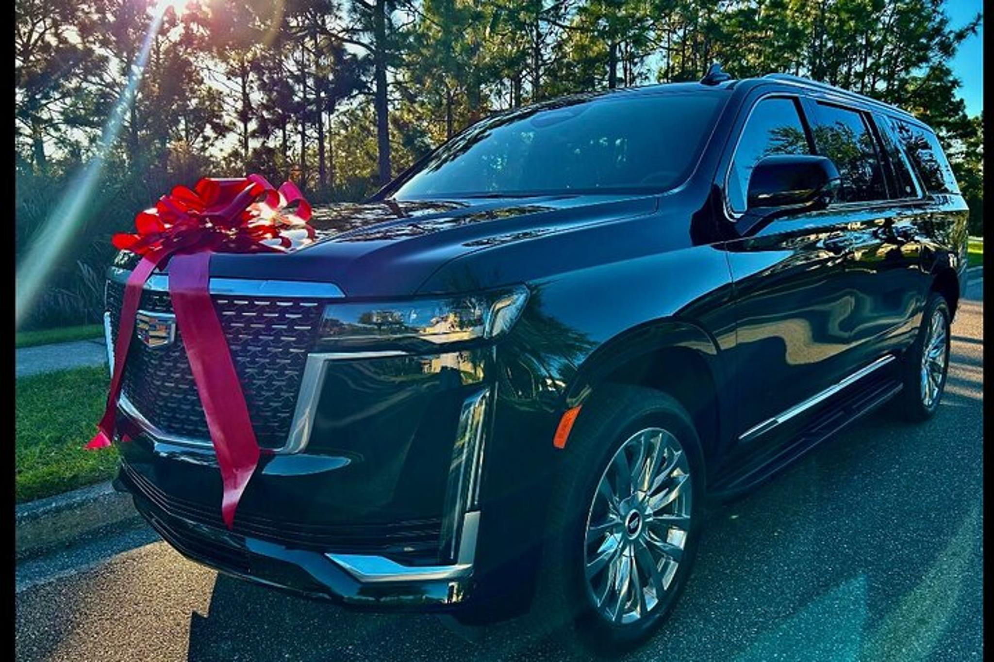 Sanford Private Car Ride - Image 4