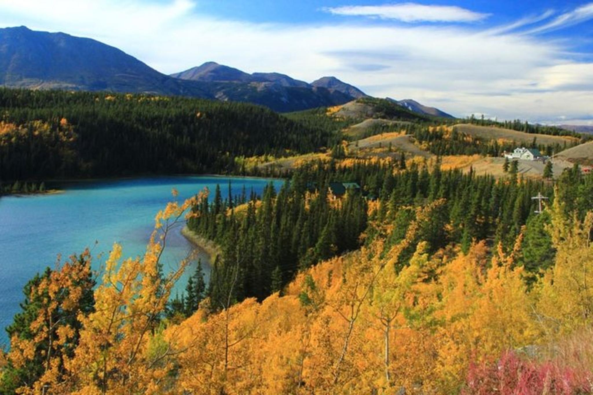 Skagway Yukon Dog Sledding and Sightseeing Tour - Image 1