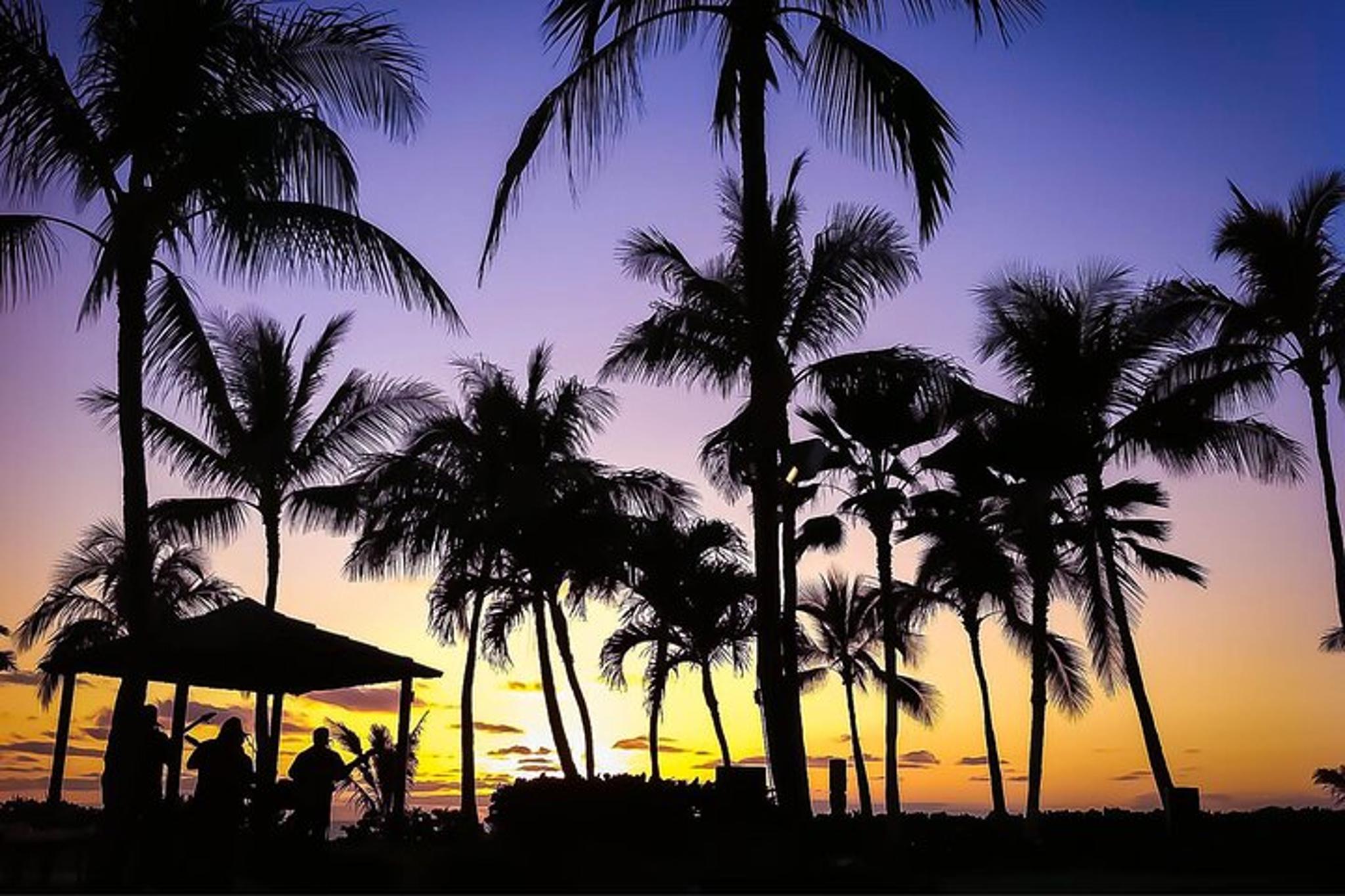 Oahu Custom Walking Tour with Local Guide - Image 4