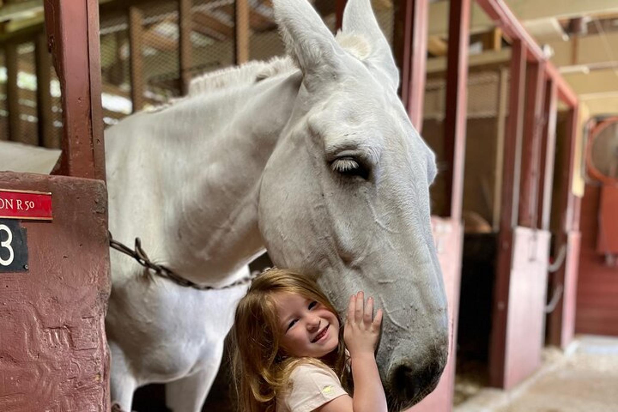 New Orleans Mules Barn Tour