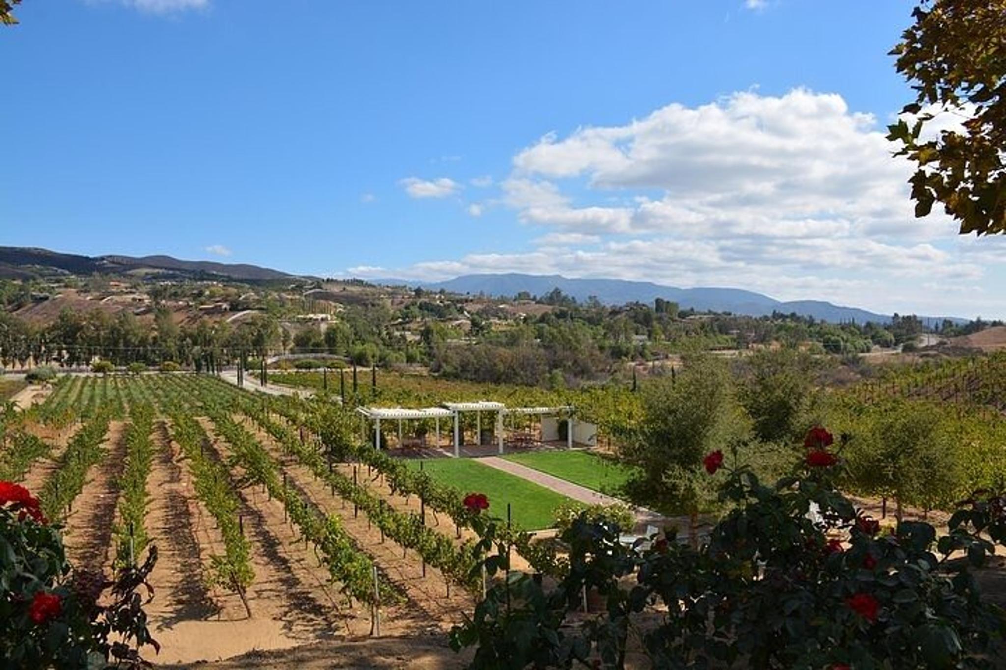Temecula Wine Tour from Orange County - Image 6