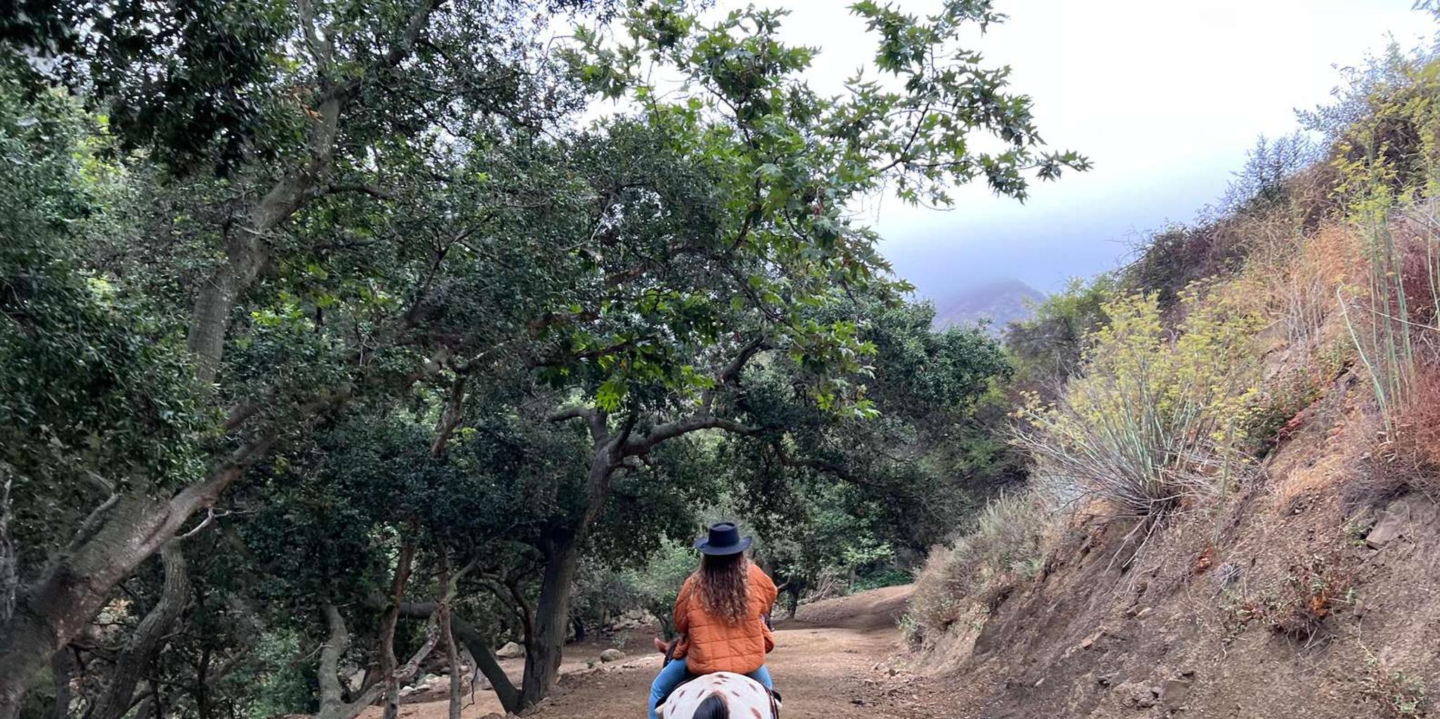 Santa Barbara Horseback Riding and Wine Tasting Tour - Image 1