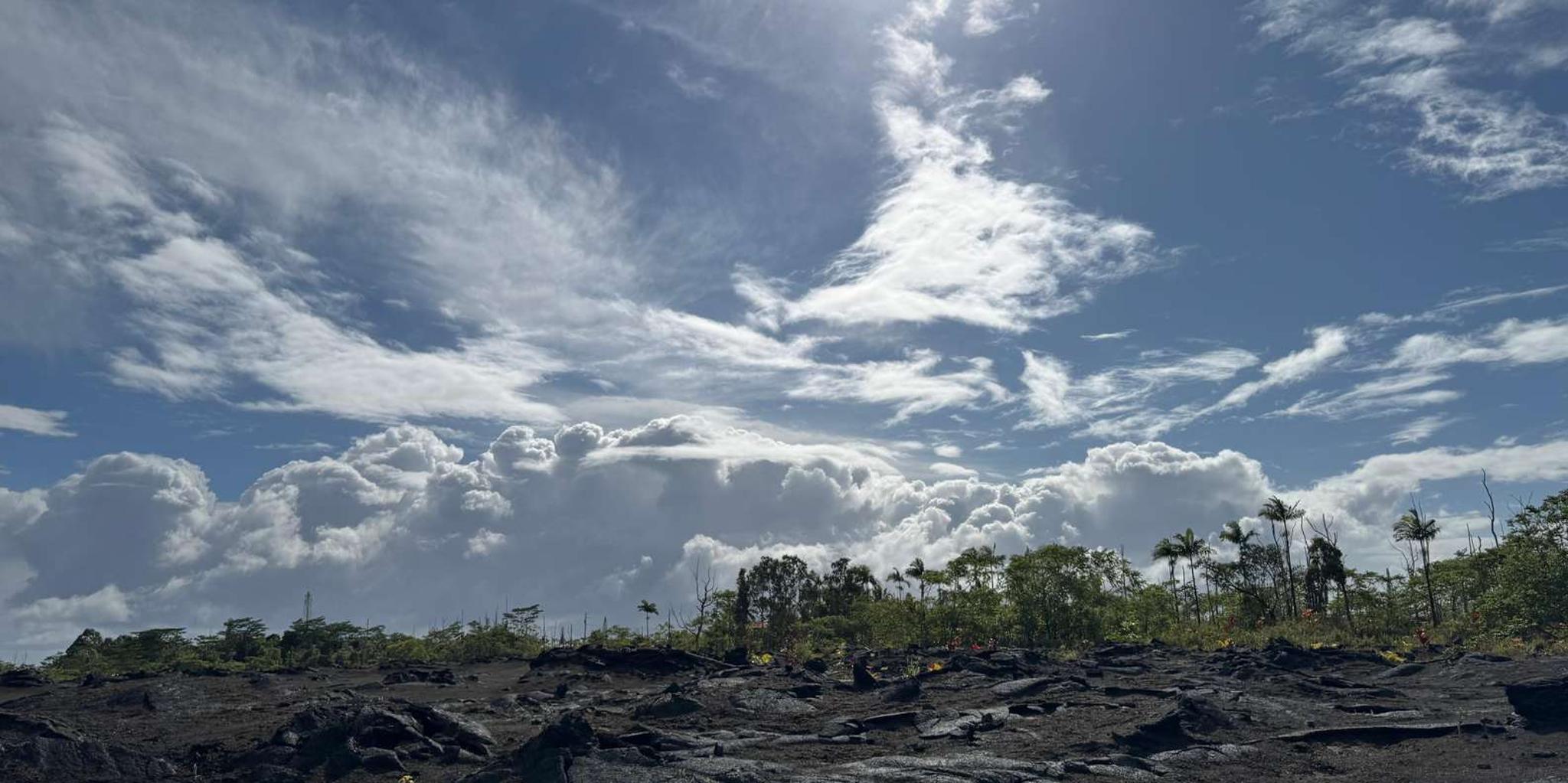Hilo Kilauea Fissure 8 Hiking Tour - Image 4
