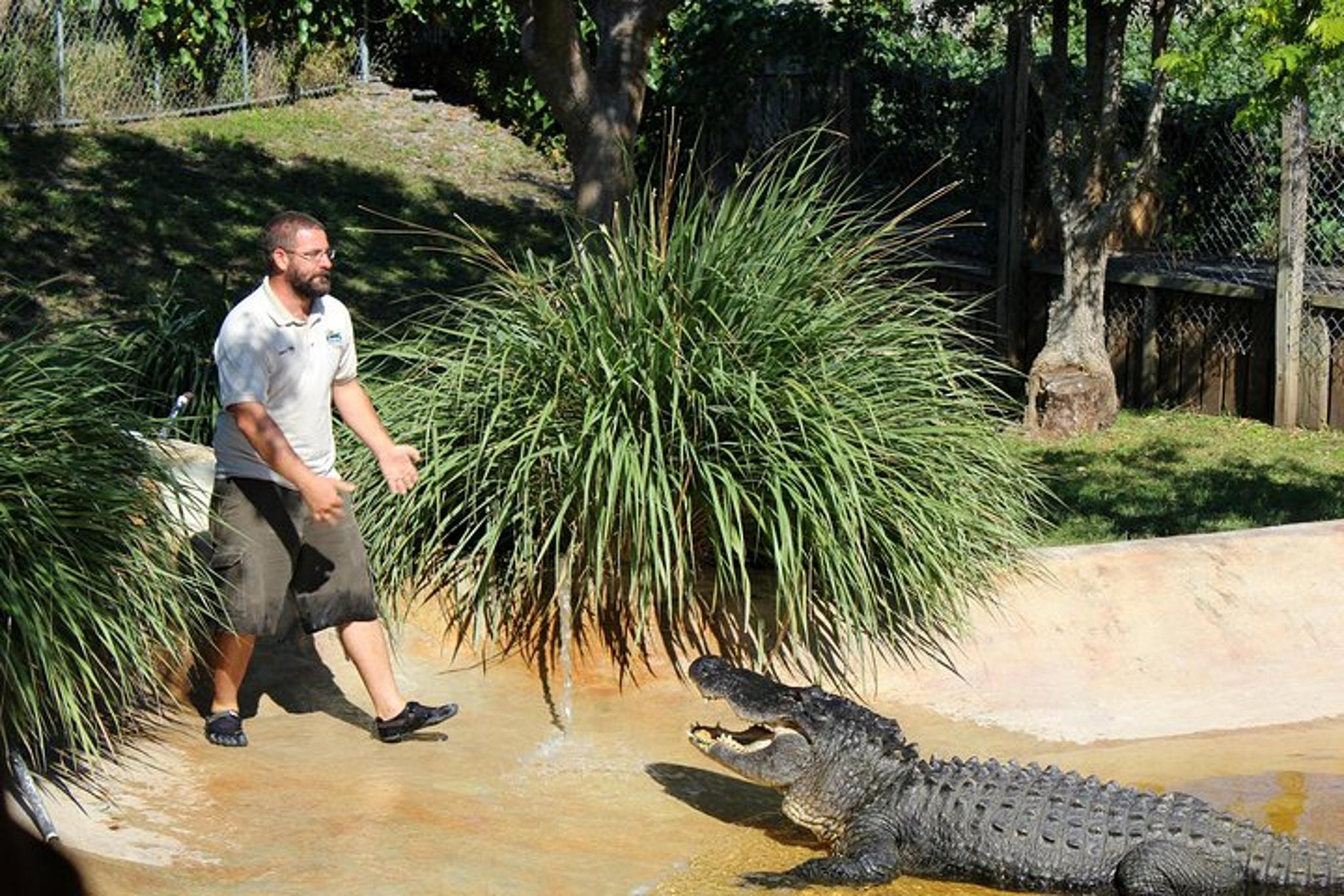 Miami Everglades Private Tour 4 hr - Image 4