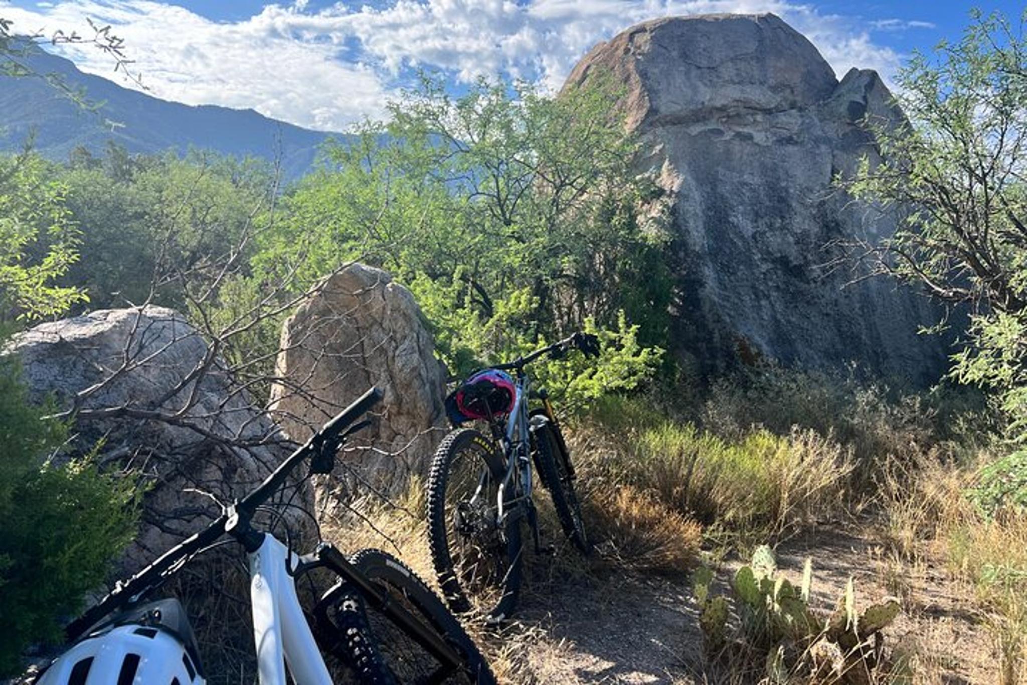 Tucson Mountain Bike Rental - Image 6