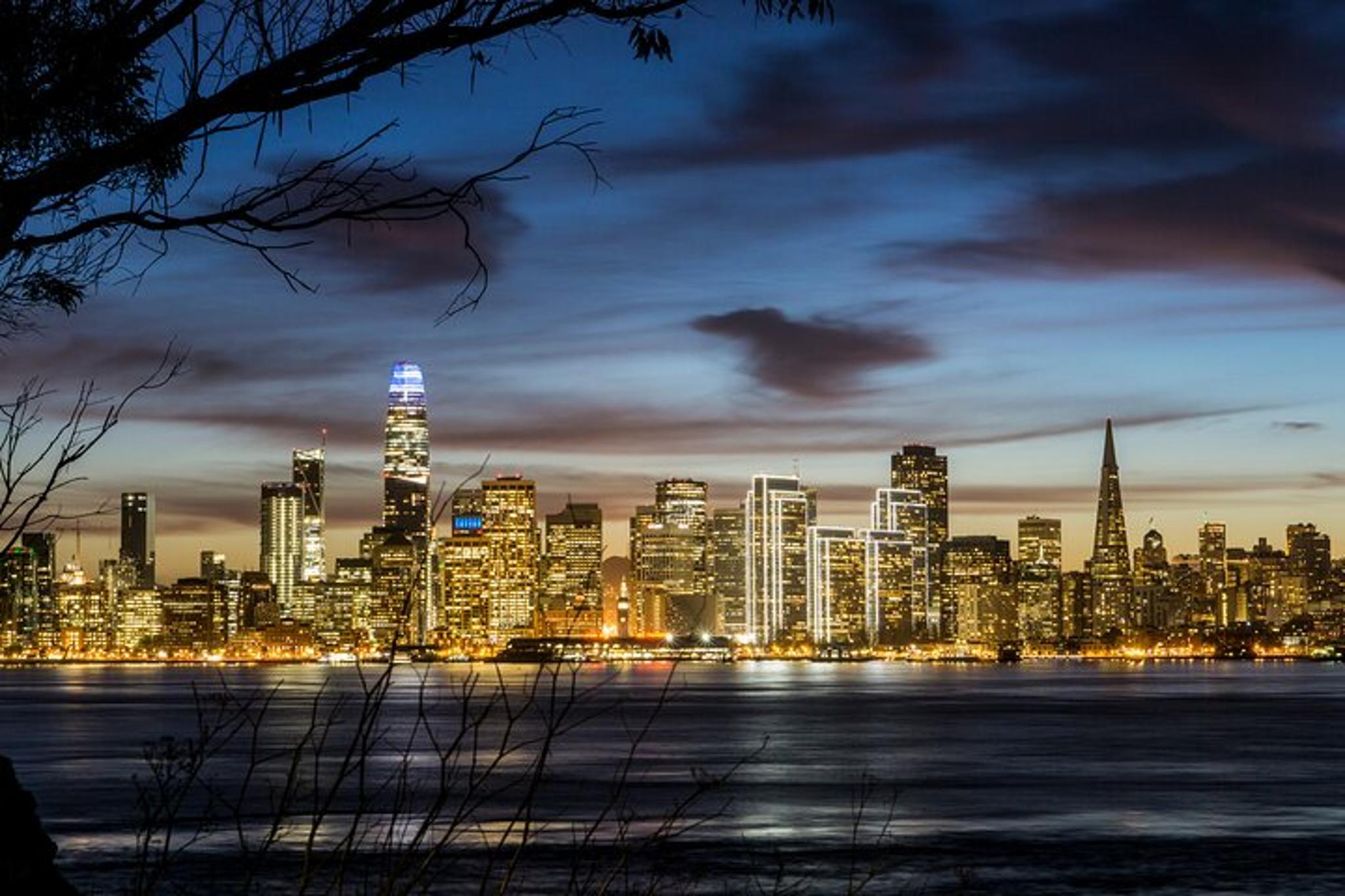 San Francisco Bay Cruise and Night Tour - Image 2