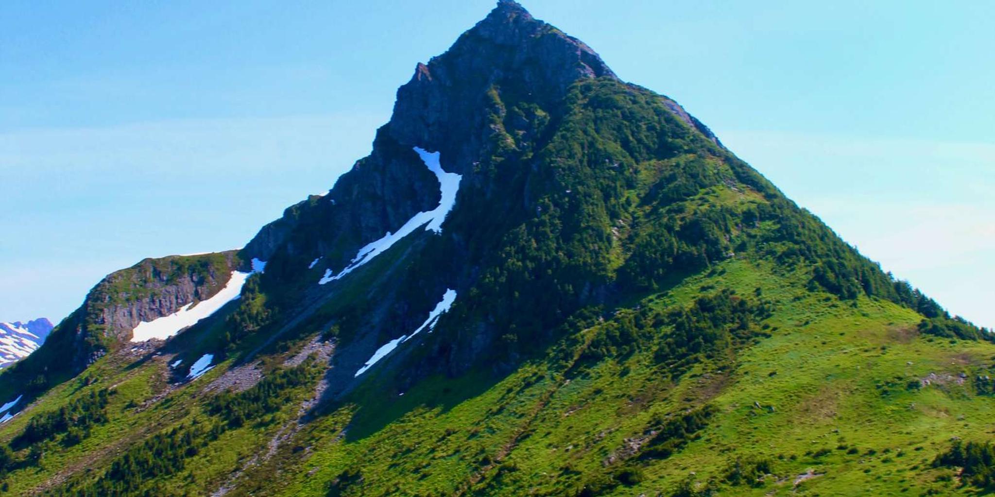 Sitka Alaskan Wilderness Trail Hike 3 hr - Image 6