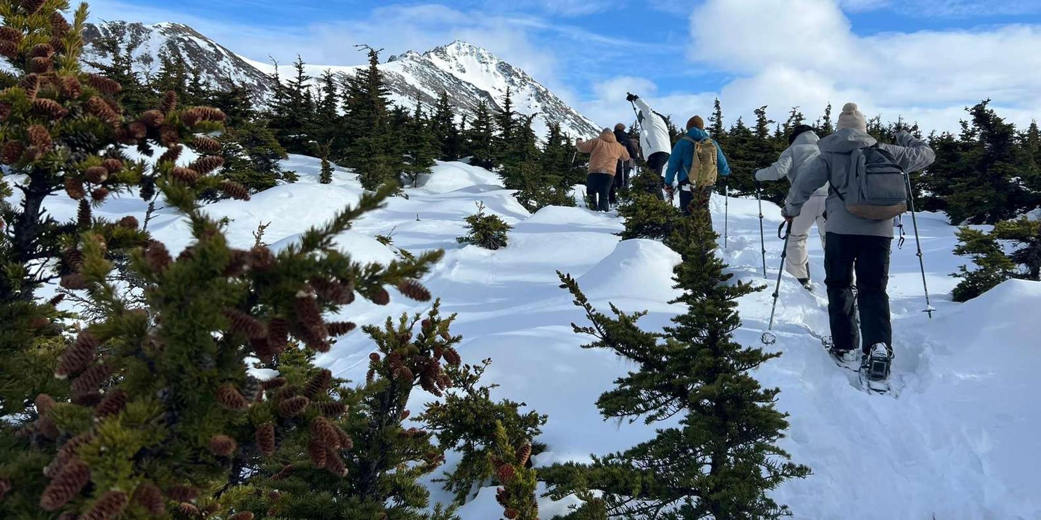 Anchorage Glen Alps Snowshoeing Adventure - Image 5