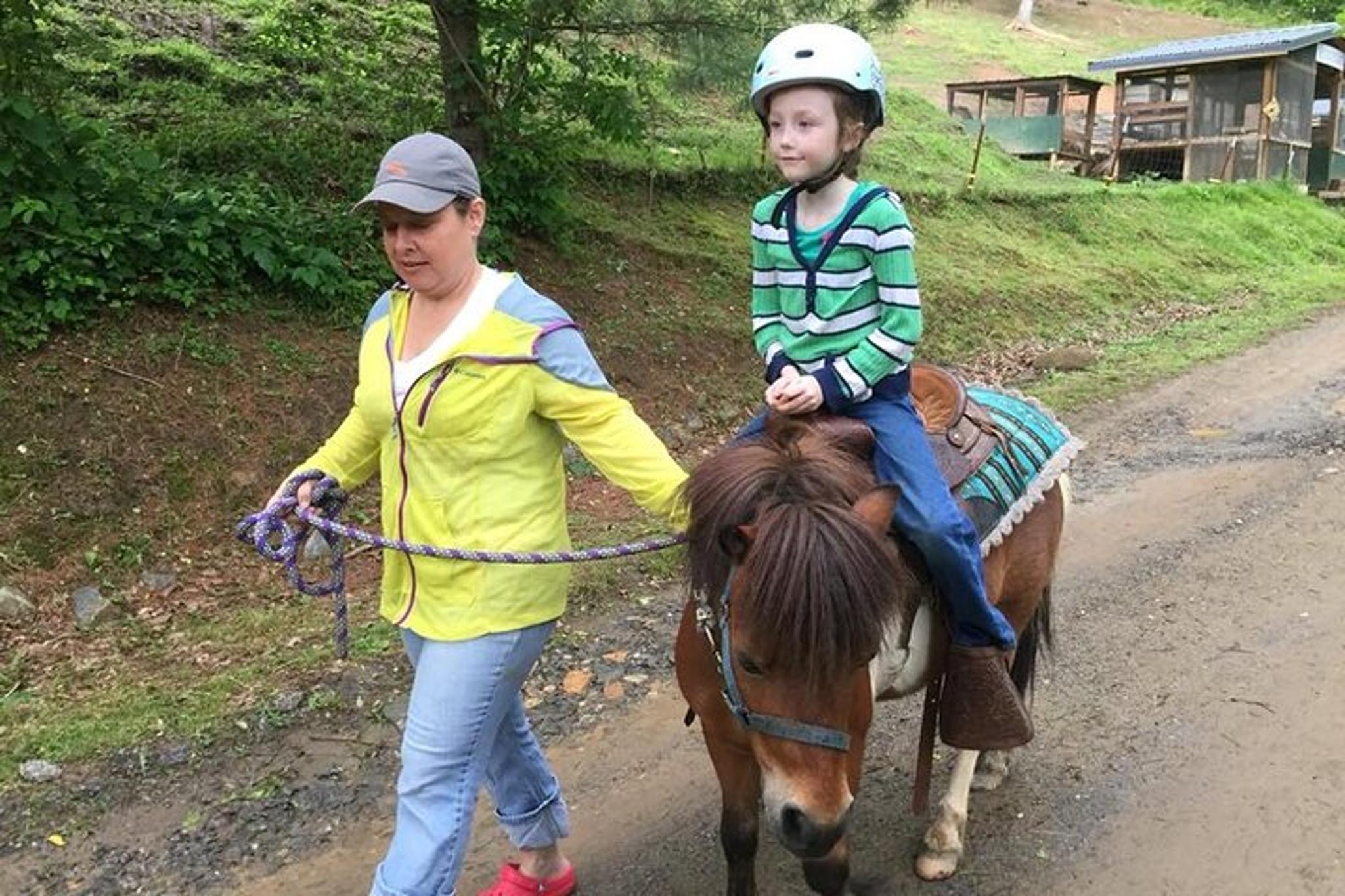 Smoky Mountains Mini Horse Ride - Image 2