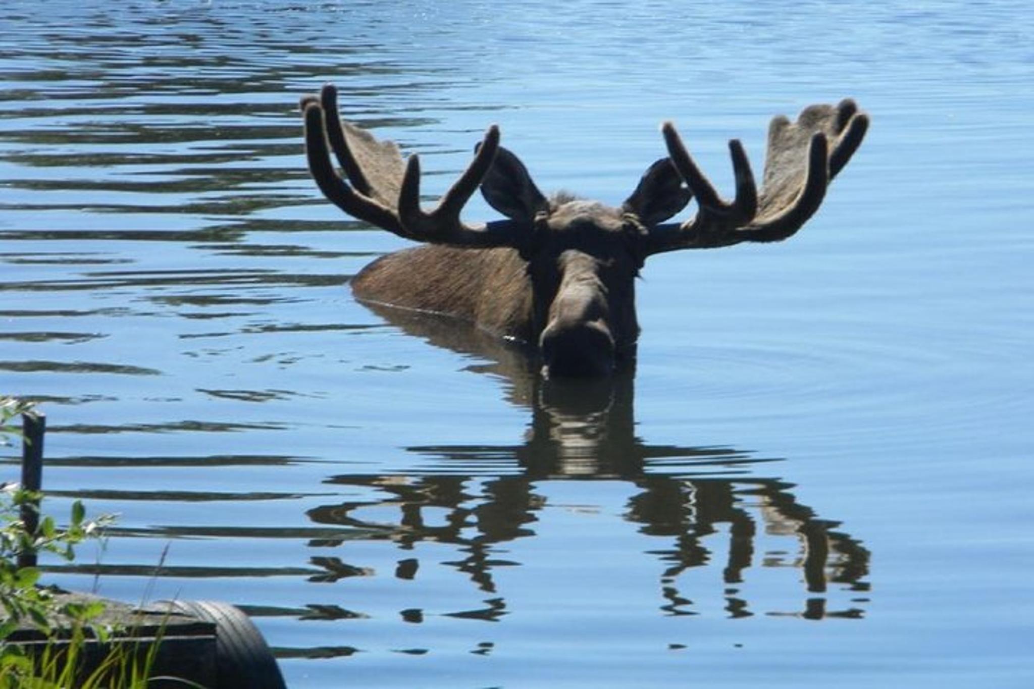 Anchorage to Whittier Cruise Transfer and Tour - Image 5
