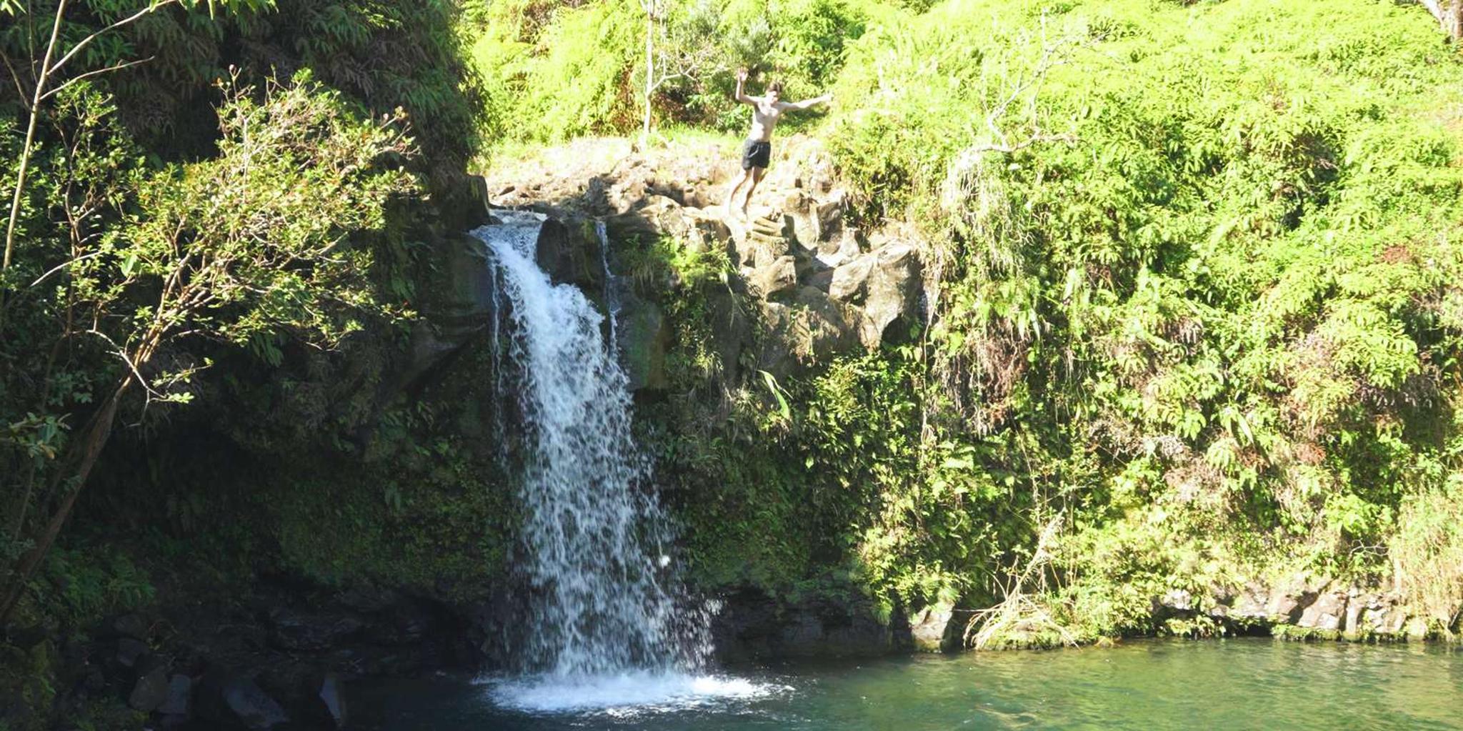 Maui Road to Hana Rainforest and Waterfall Experience - Image 4