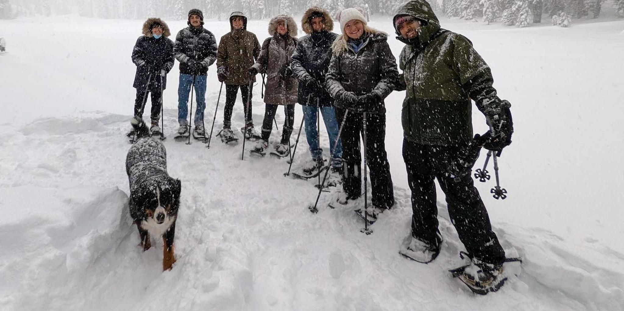 Tahoe City Snowshoe Tour on Private Trails - Image 5