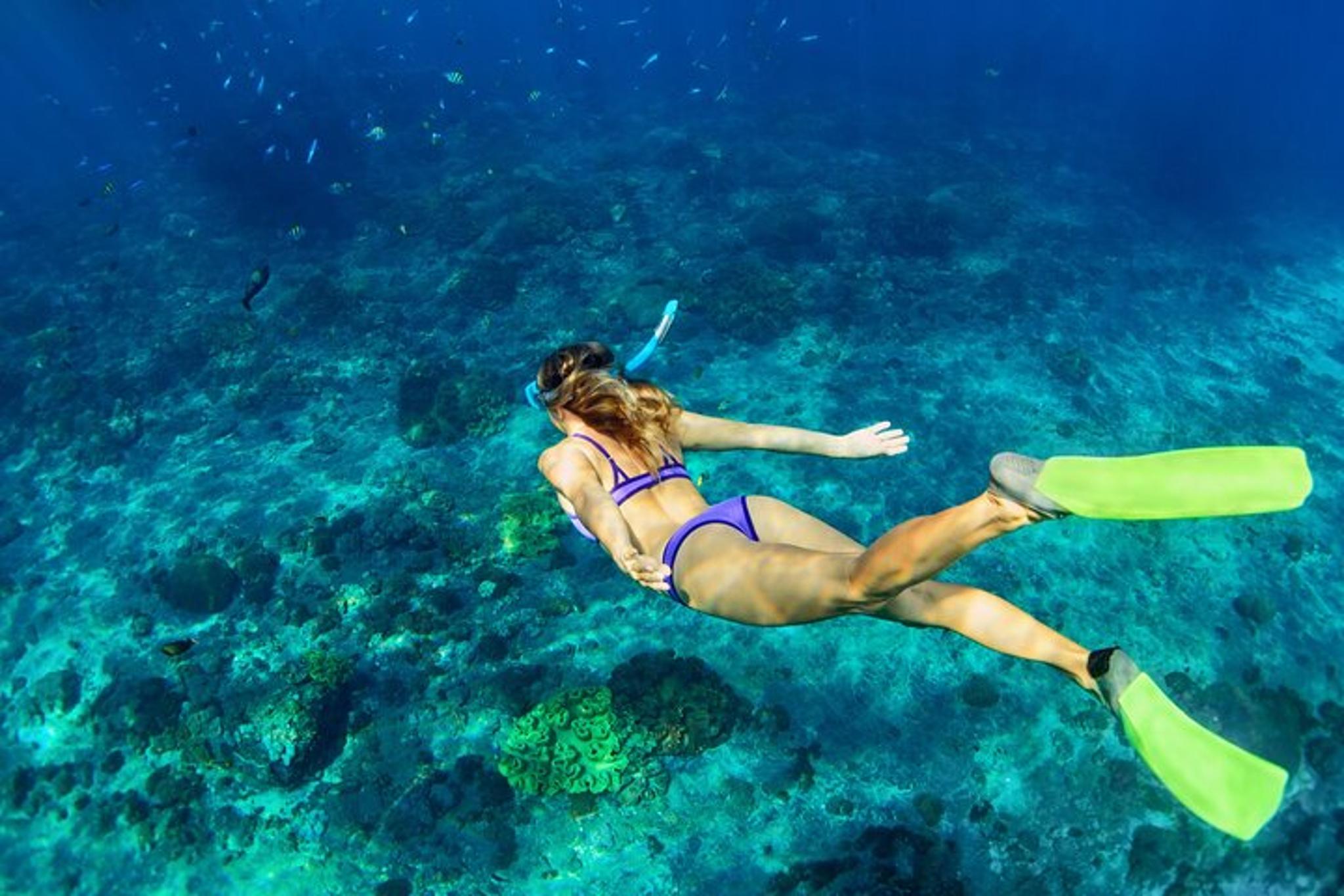 Honolulu Diamond Head Sunset Sail - Image 5