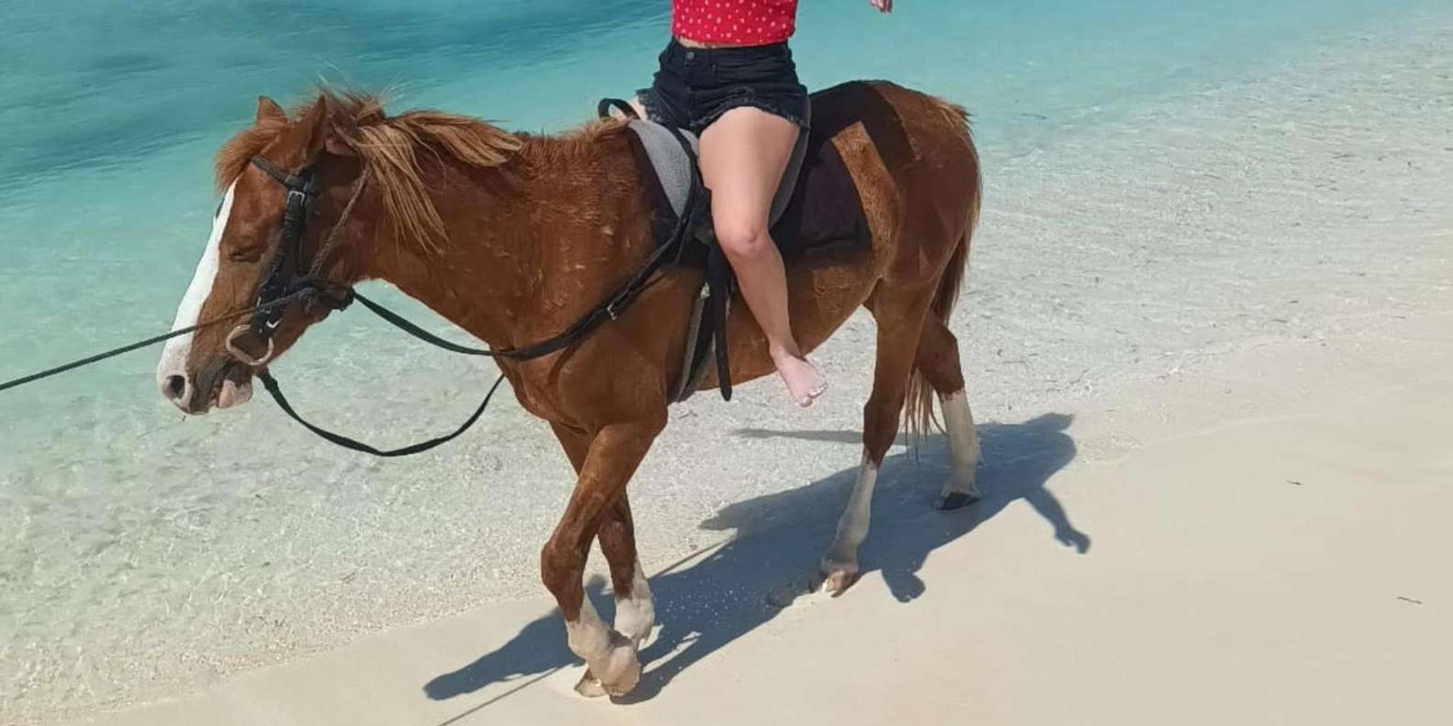 Grand Turk Horseback Riding Experience - Image 1