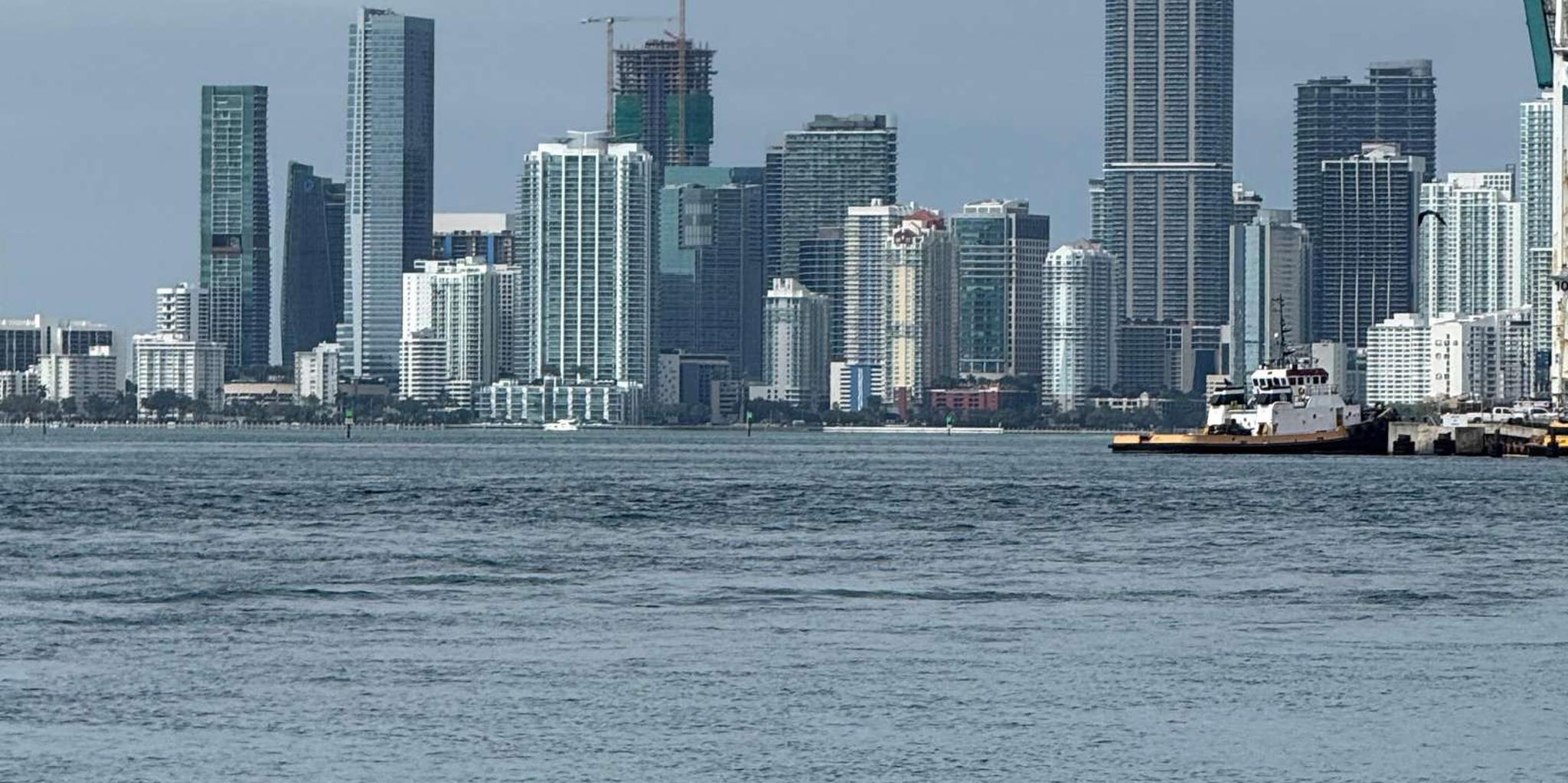 Miami City Tour 4 hr Private - Image 3